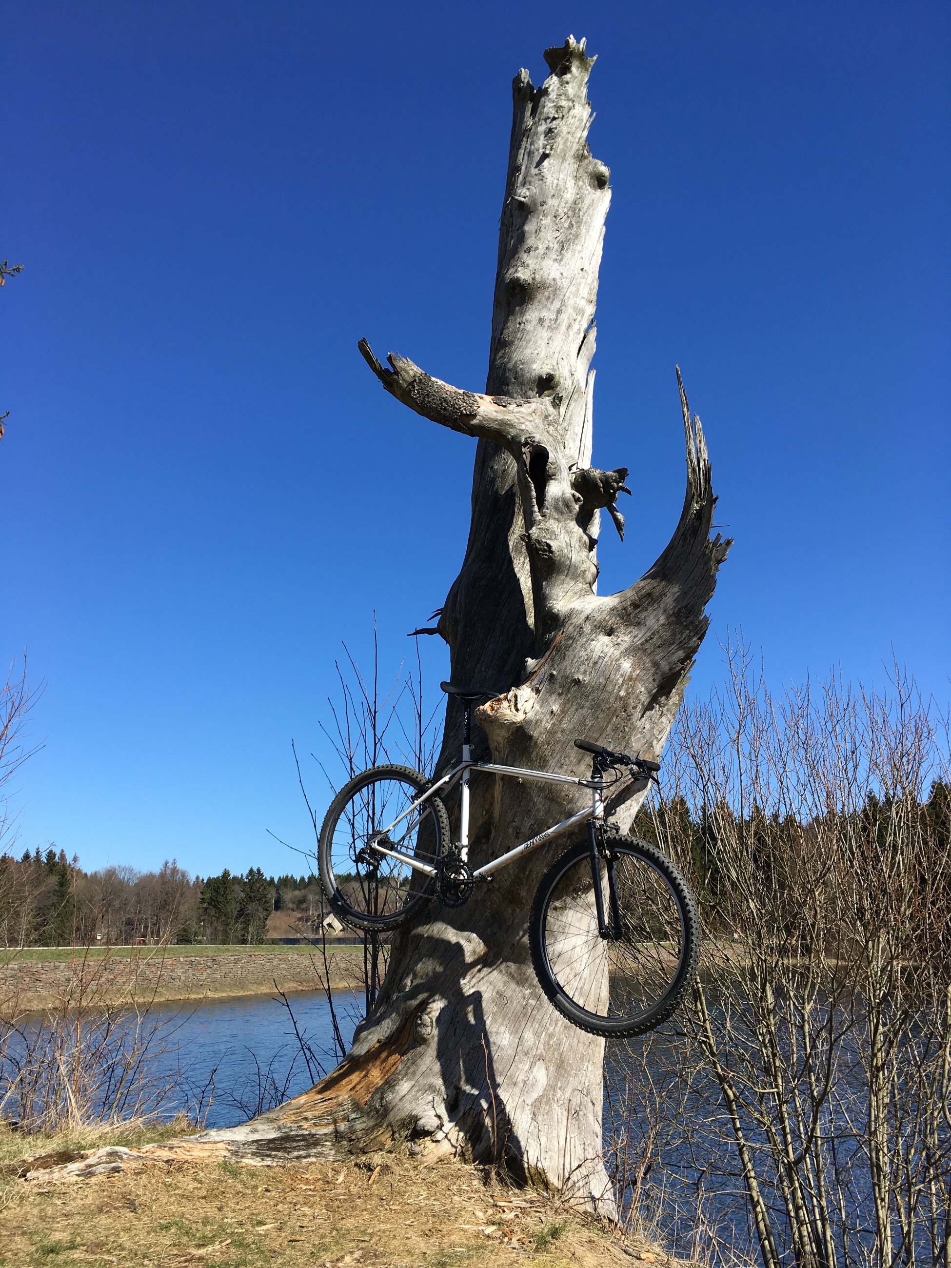 Germans Team Genius.jpeg