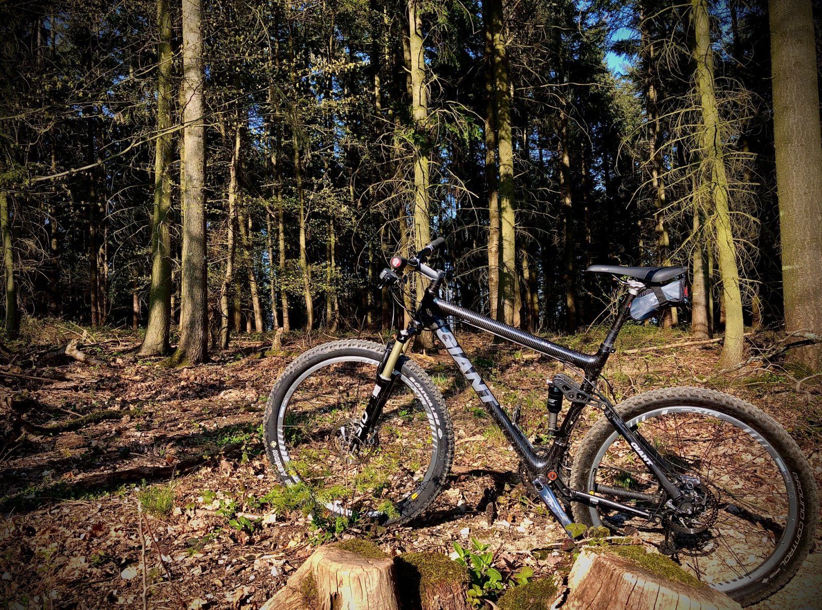Giant Wald.jpg