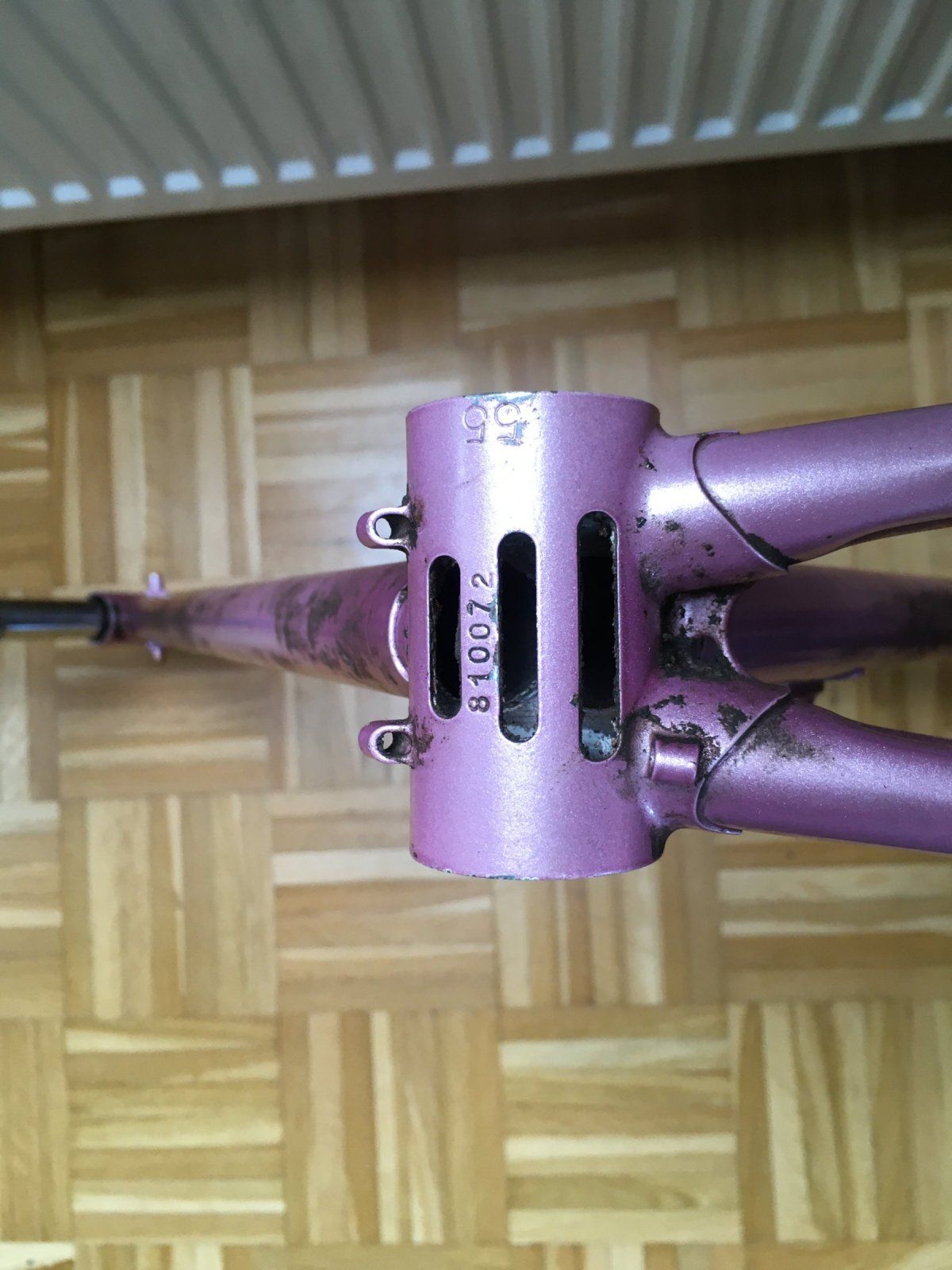 GIOS Compact-2.JPG