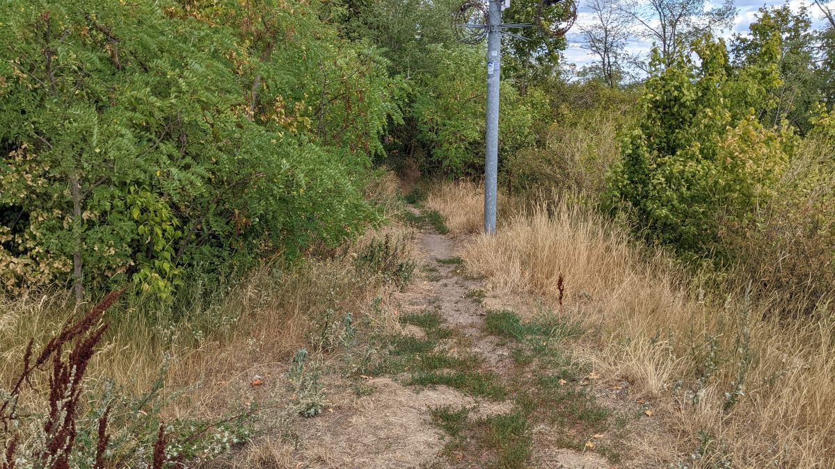 Glasowbachtrail06.jpg