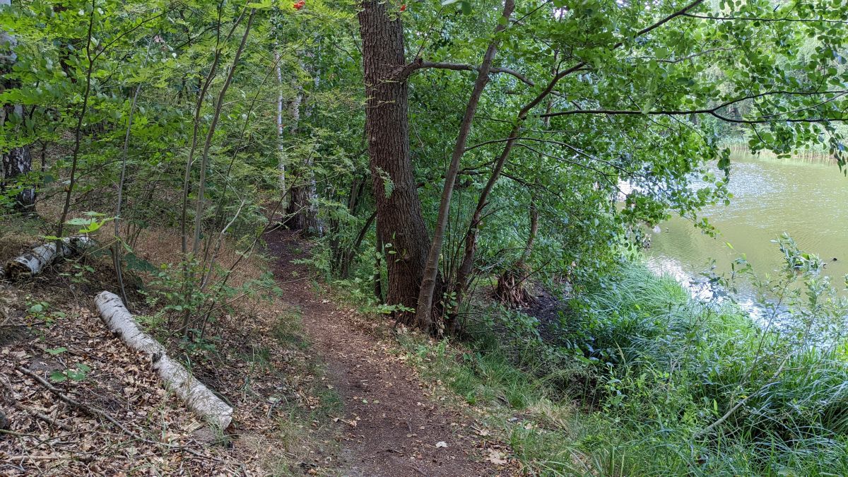 Glasowbachtrail16.jpg