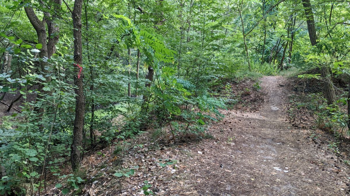 Glasowbachtrail29.jpg