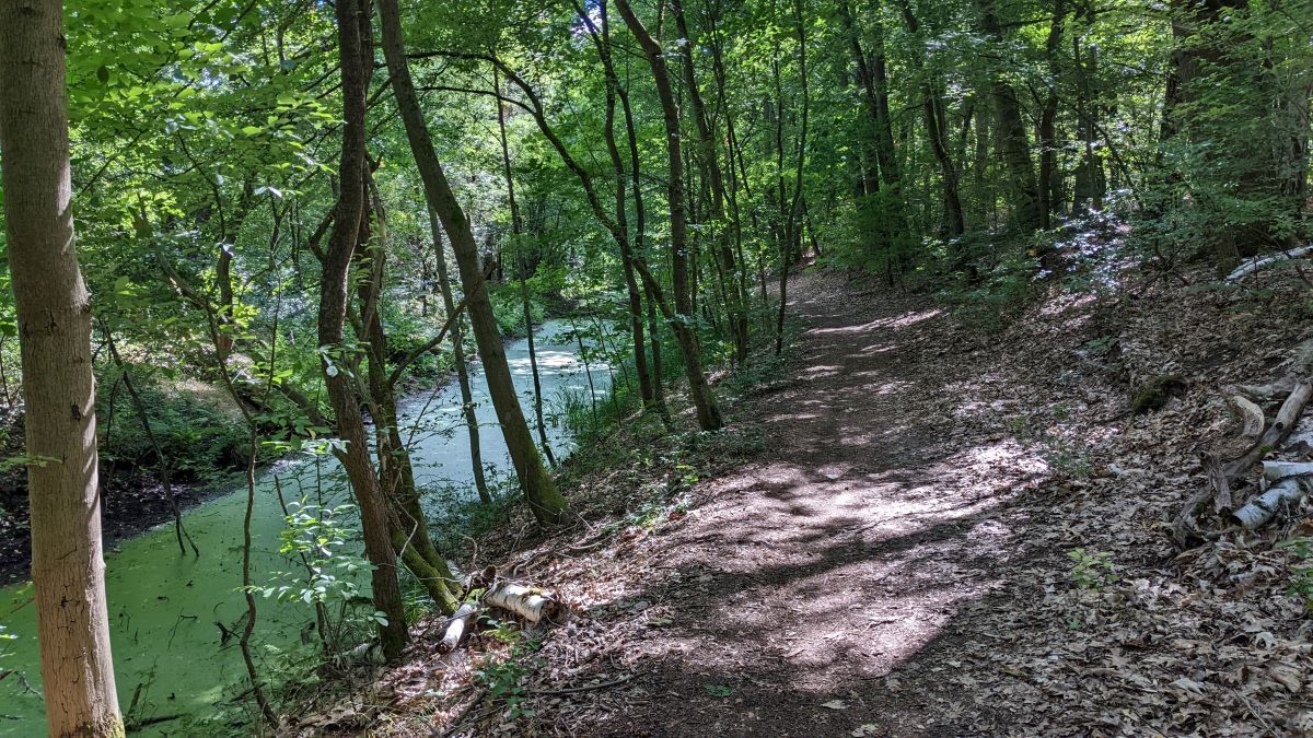 Glasowbachtrail31.jpg