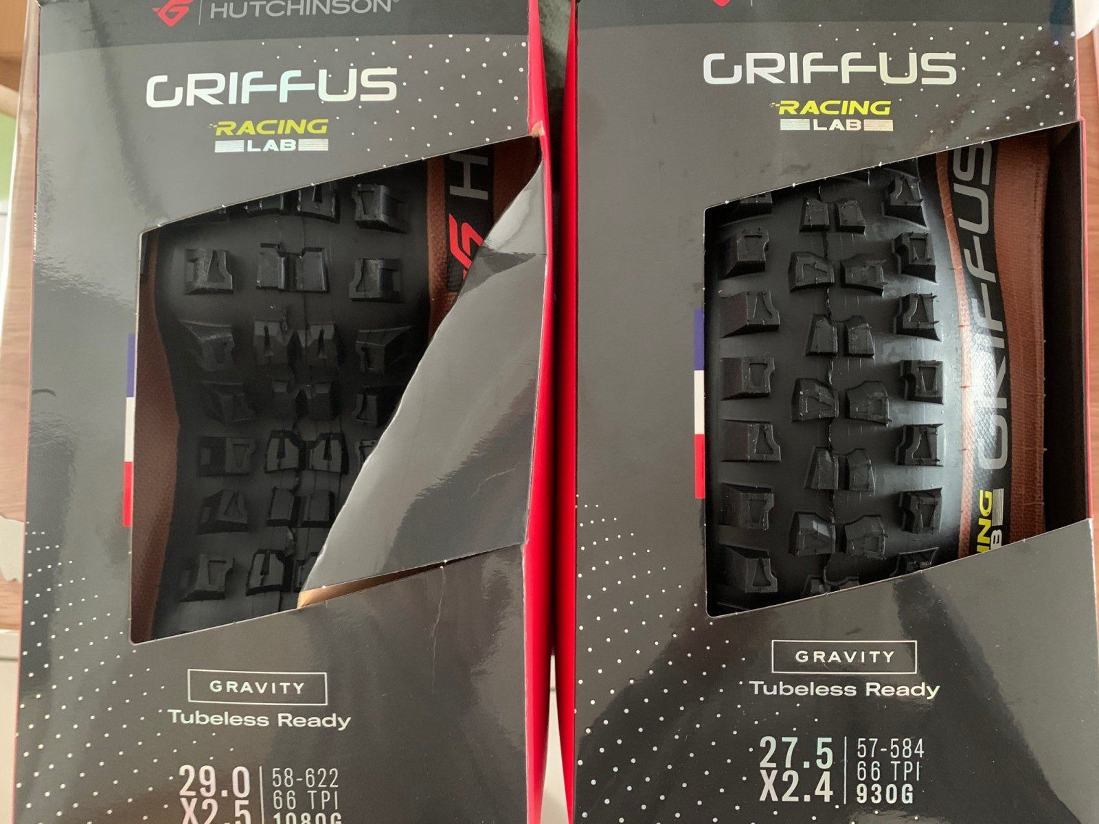 griffus_01.jpg