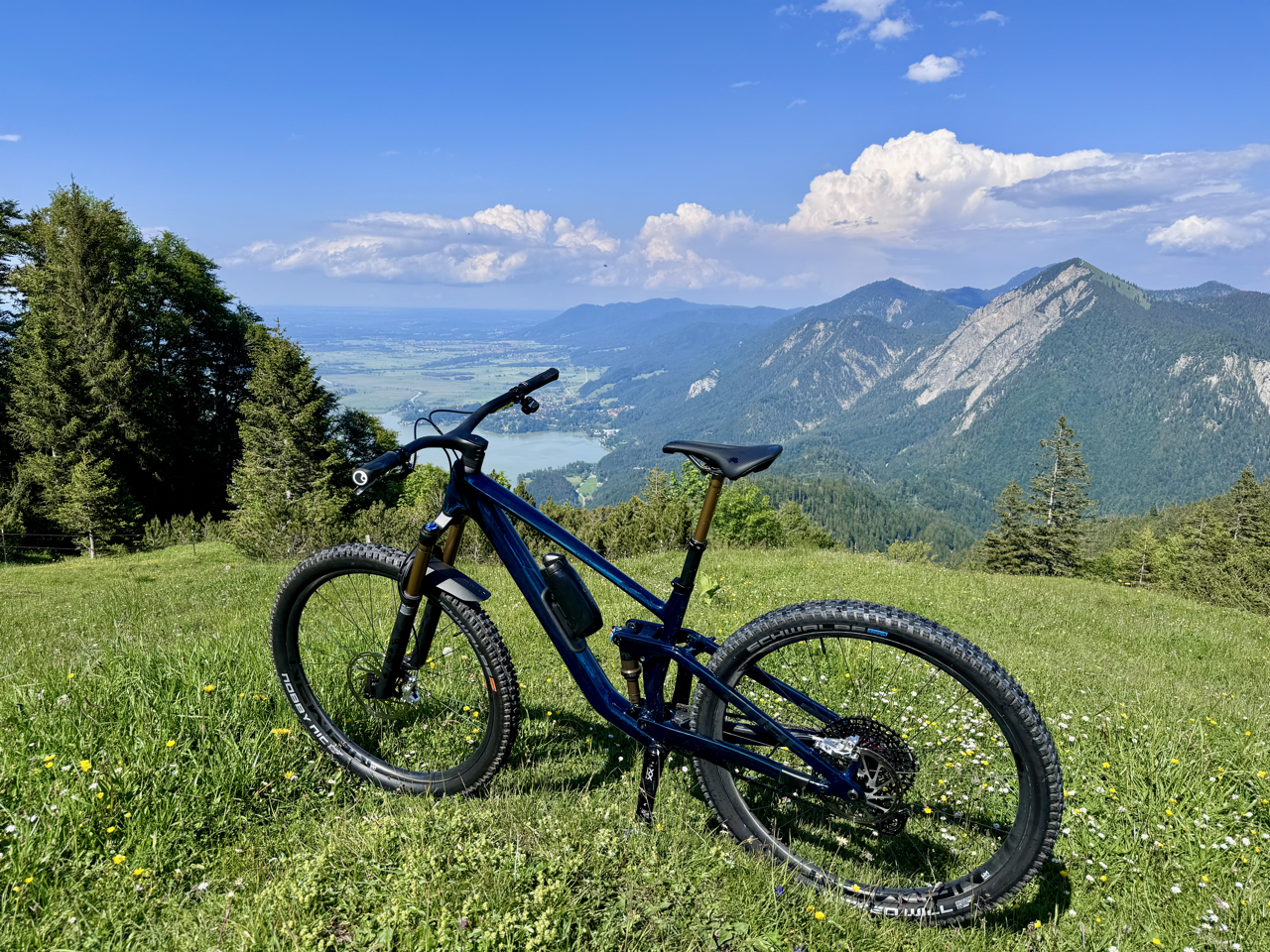 Groß (IMG_1595).png
