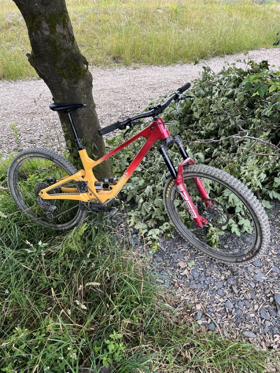 Groß (IMG_2176).jpeg
