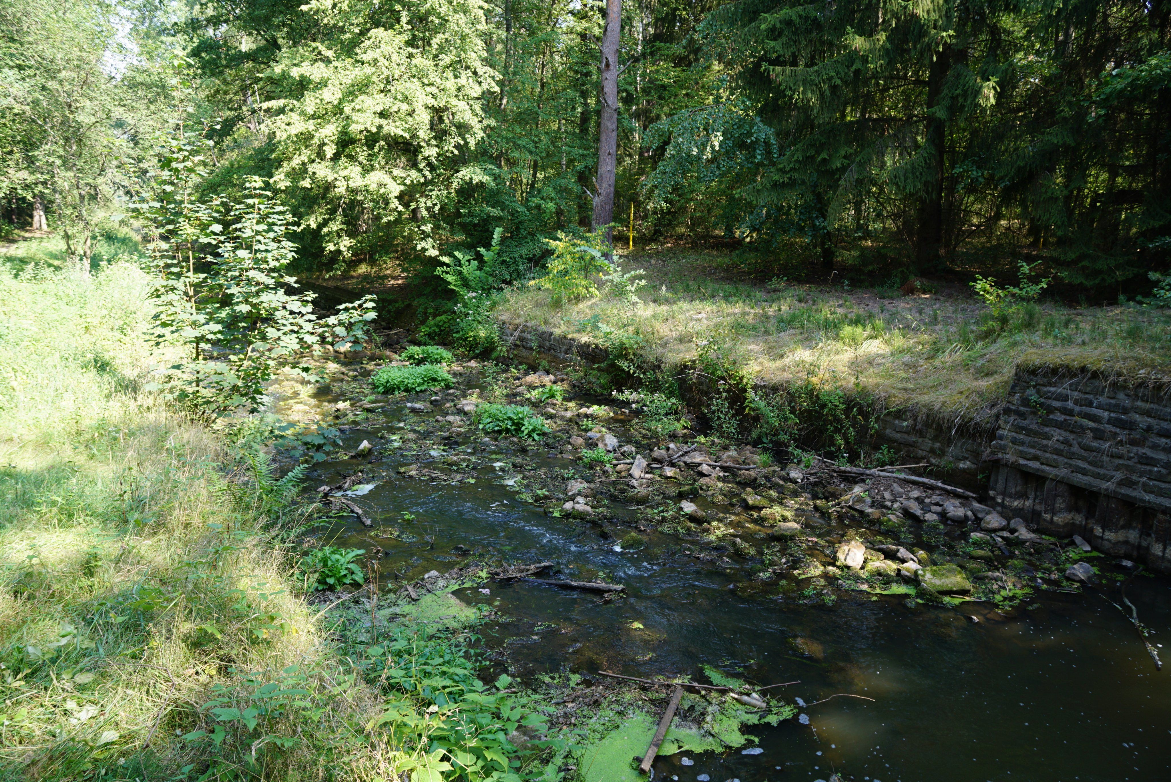 hätte auch der Harz sein können.JPG