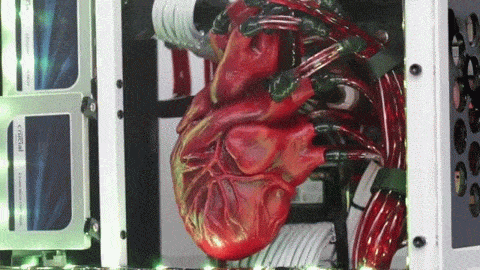 heart-computer.gif