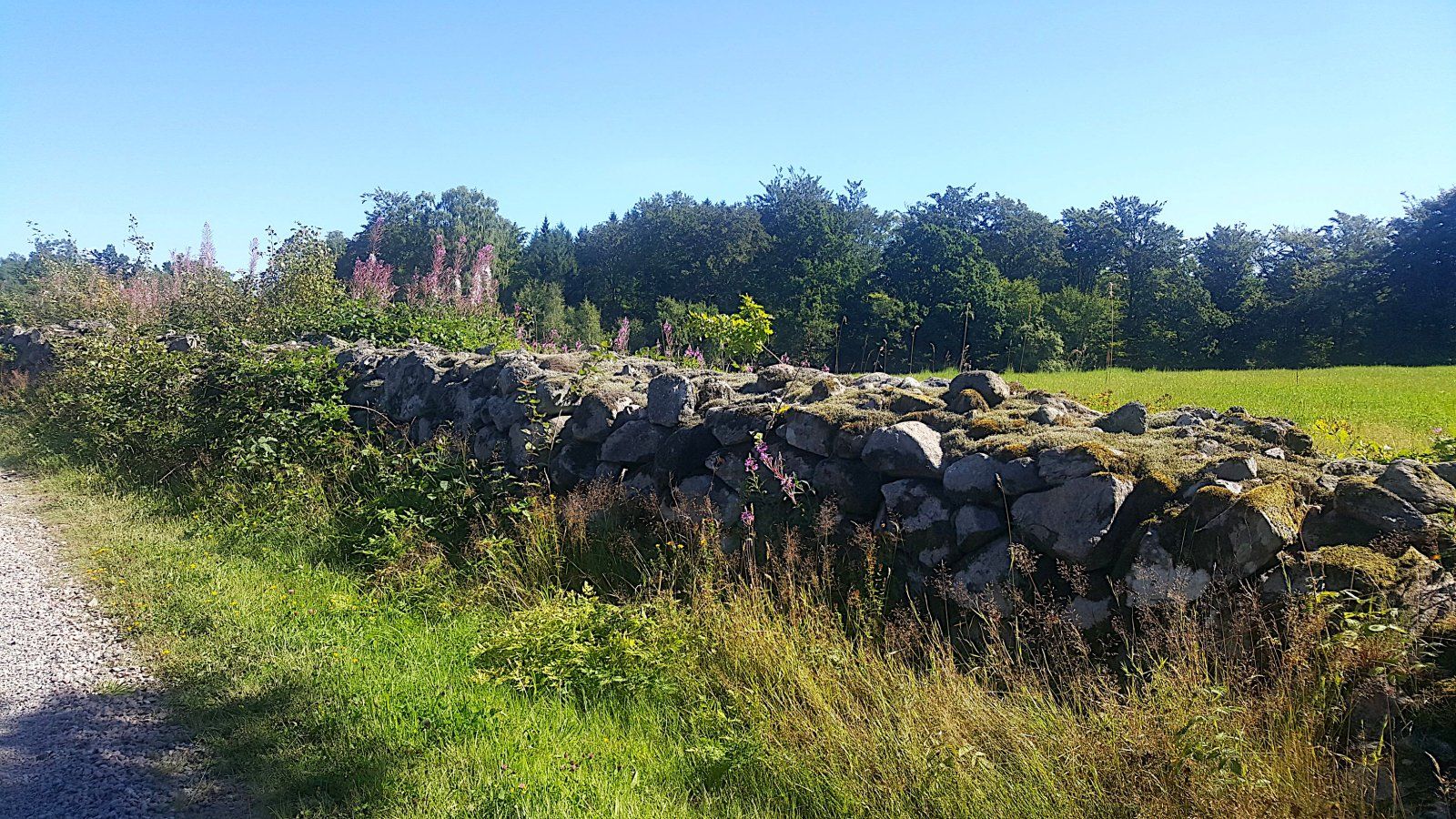 Heide und Steine.jpg