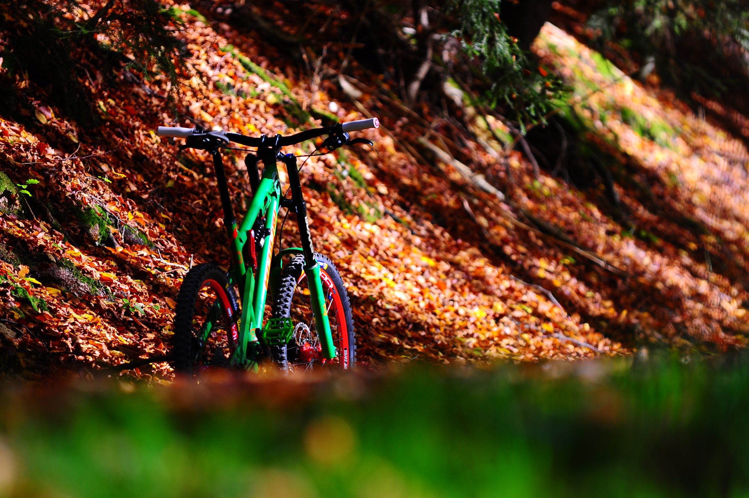 .. Herbst ist ...JPG