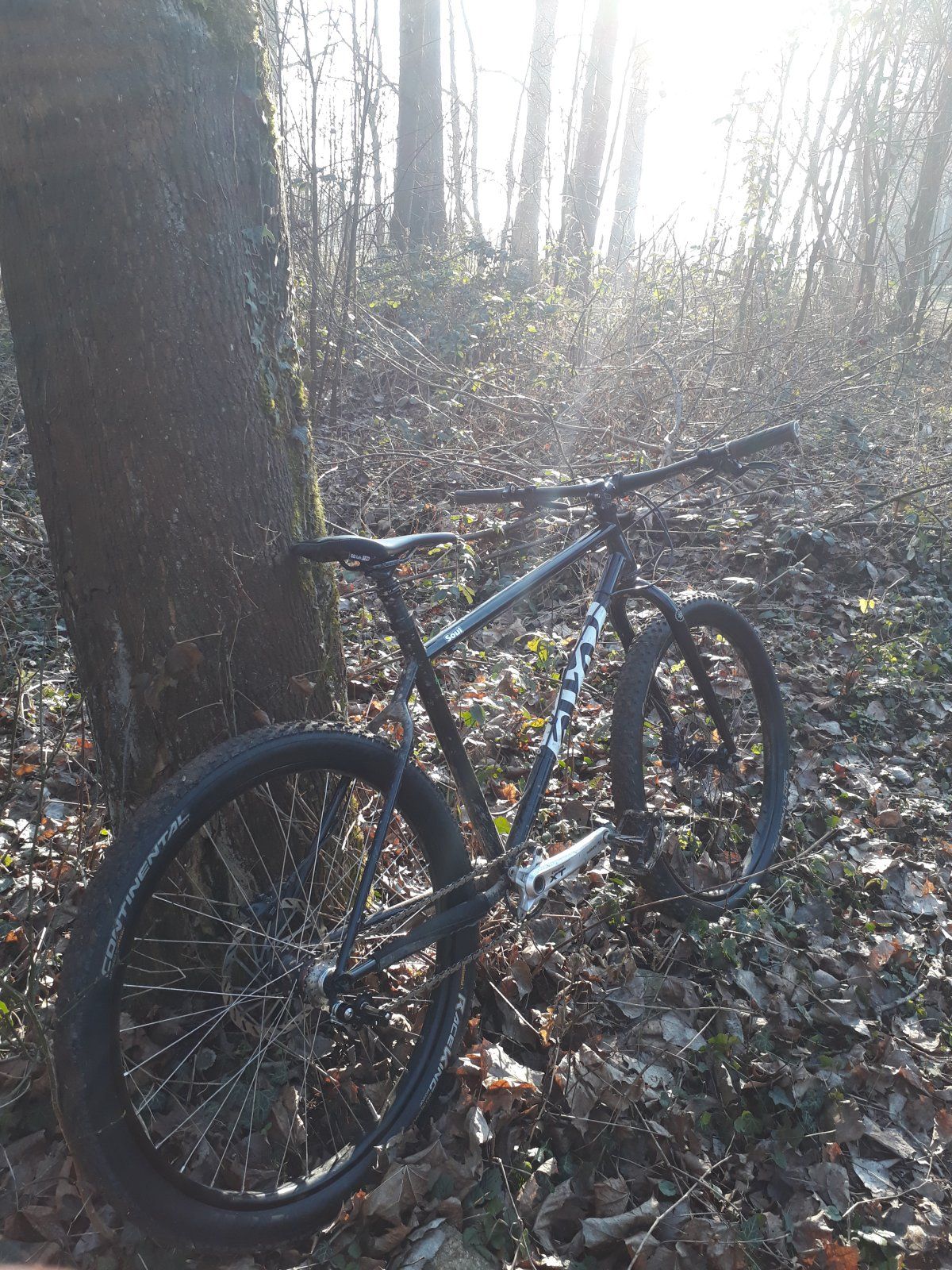 https___www.mtb-news.de_forum_attachments_20230215_154119-jpg.1644130_ 2.jpeg