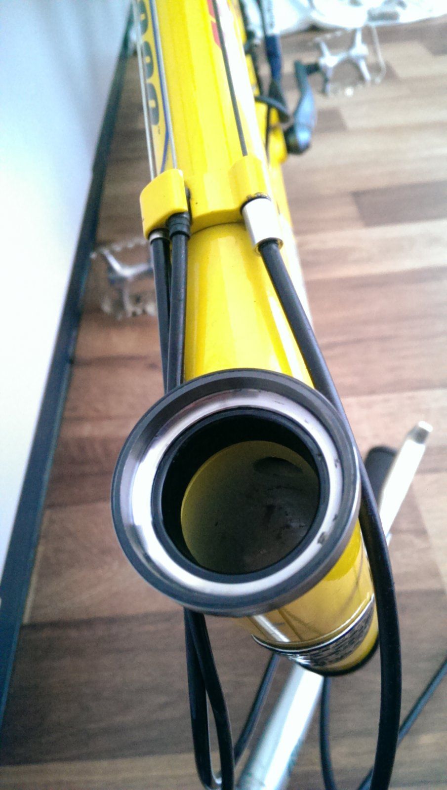 IMAG6204.jpg