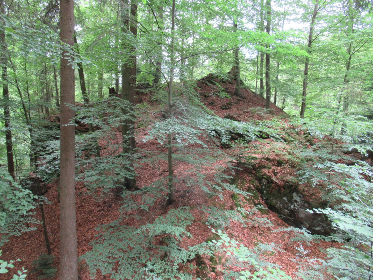 Image2.jpg