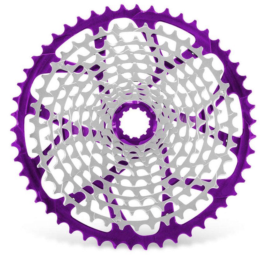 image_purple.jpg