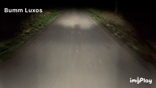 IMB_dN6tKF.GIF