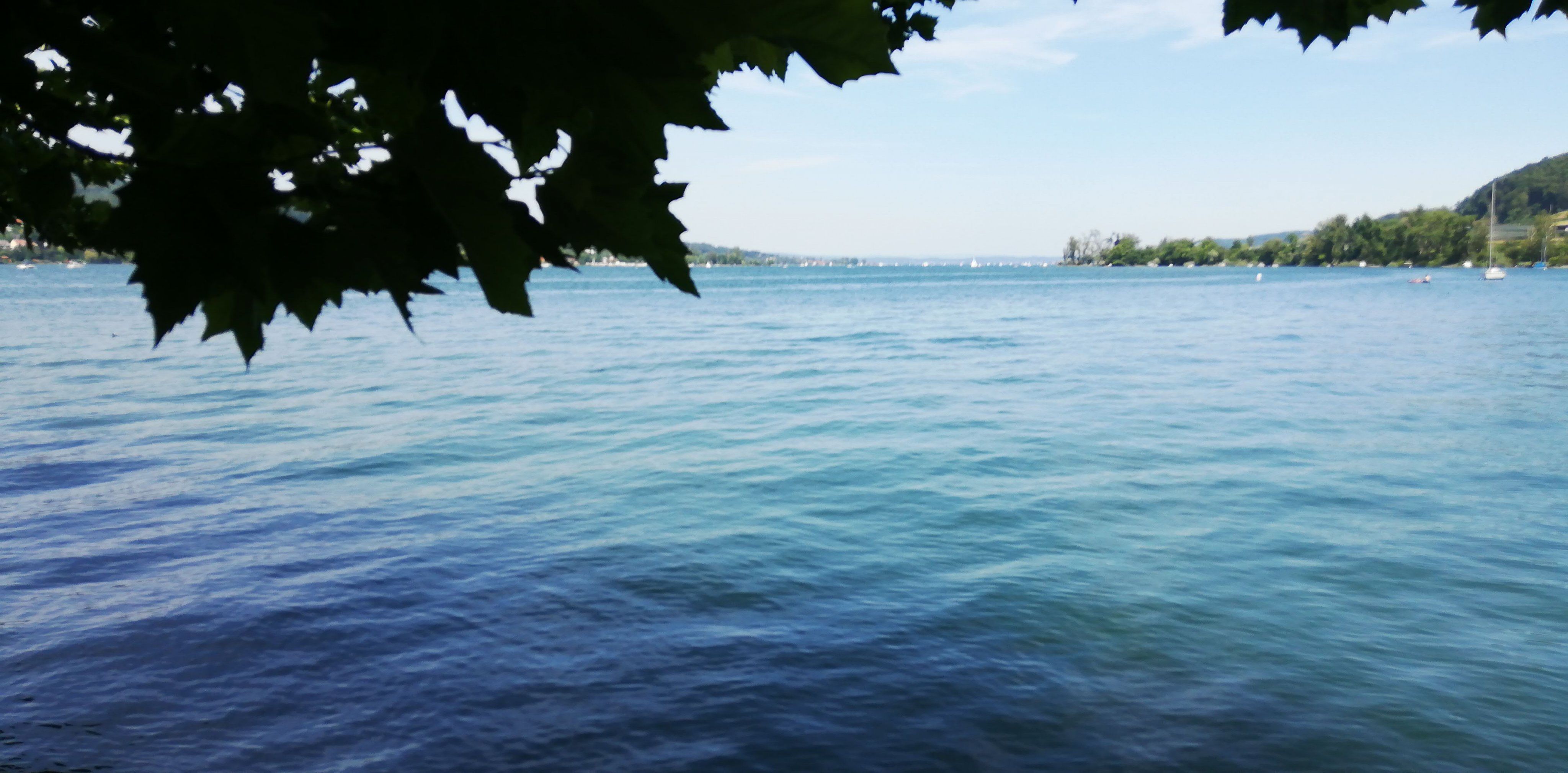 IMG-20190630-WA0000.jpeg