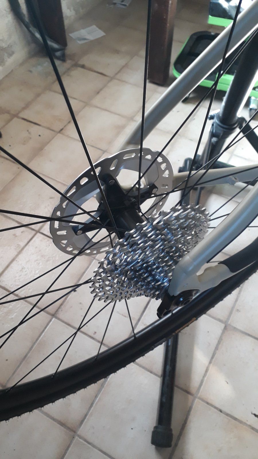 IMG-20210330-WA0006.jpeg