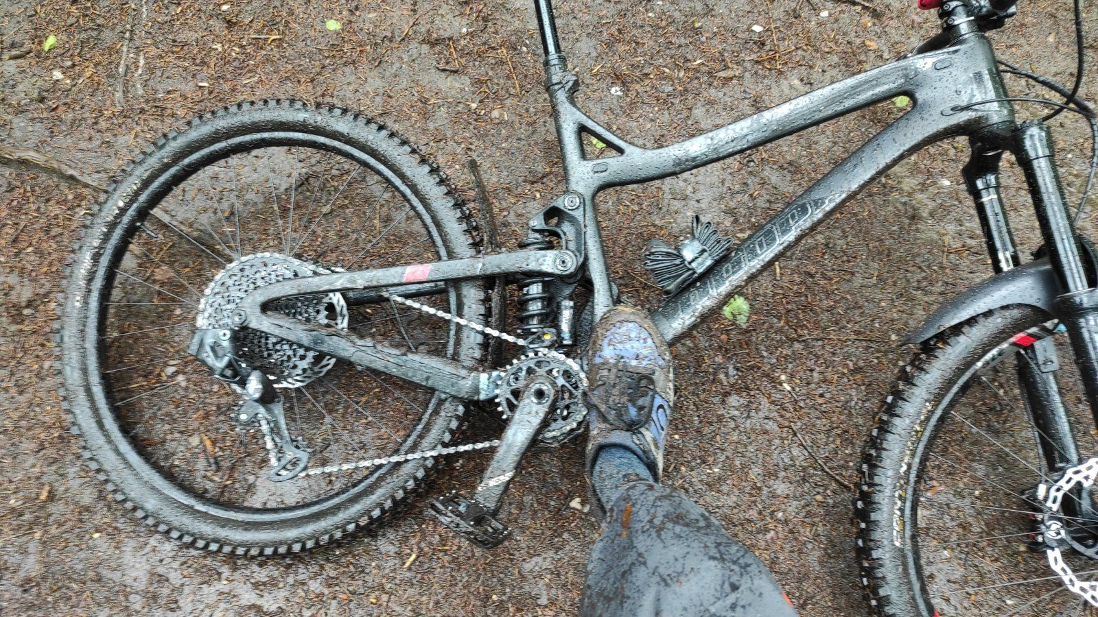 IMG-20210514-WA0000.jpeg