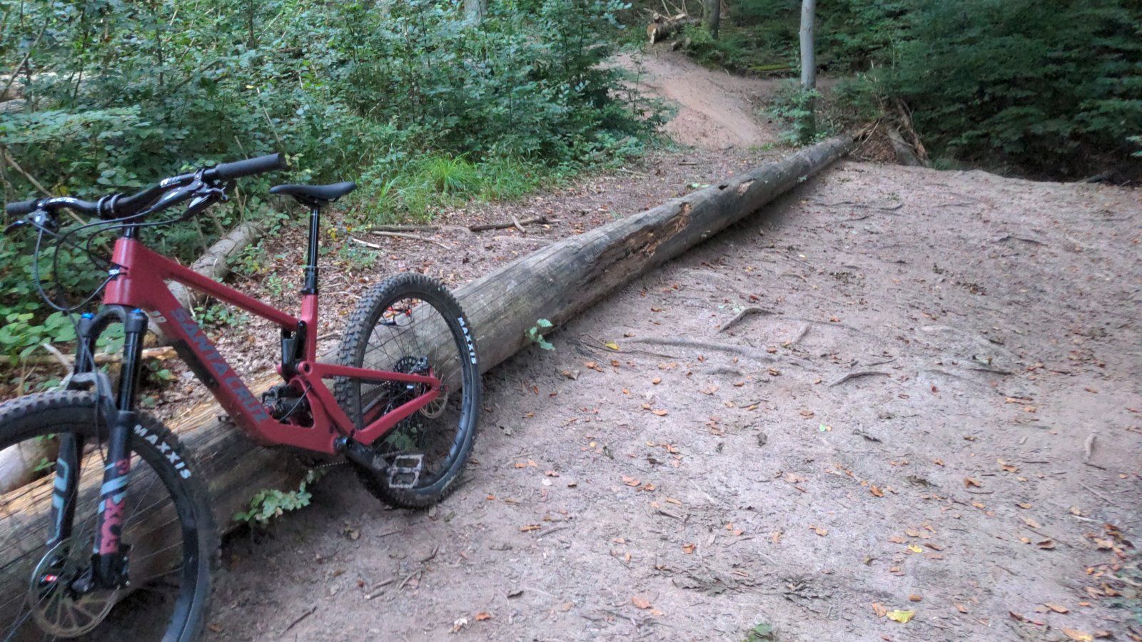 IMG-20210914-WA0003.jpeg