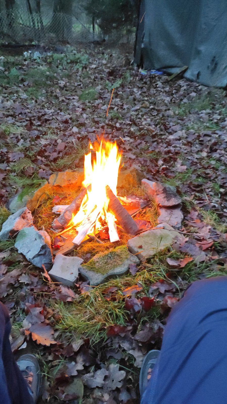 IMG-20211210-WA0003.jpeg