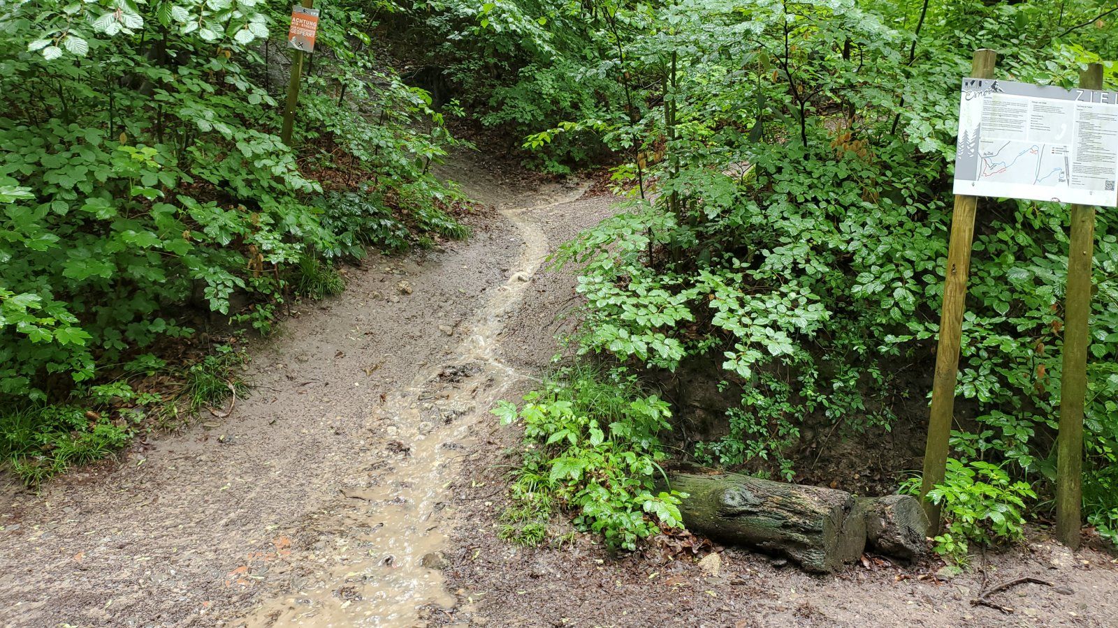 IMG-20240524-WA0014.jpeg