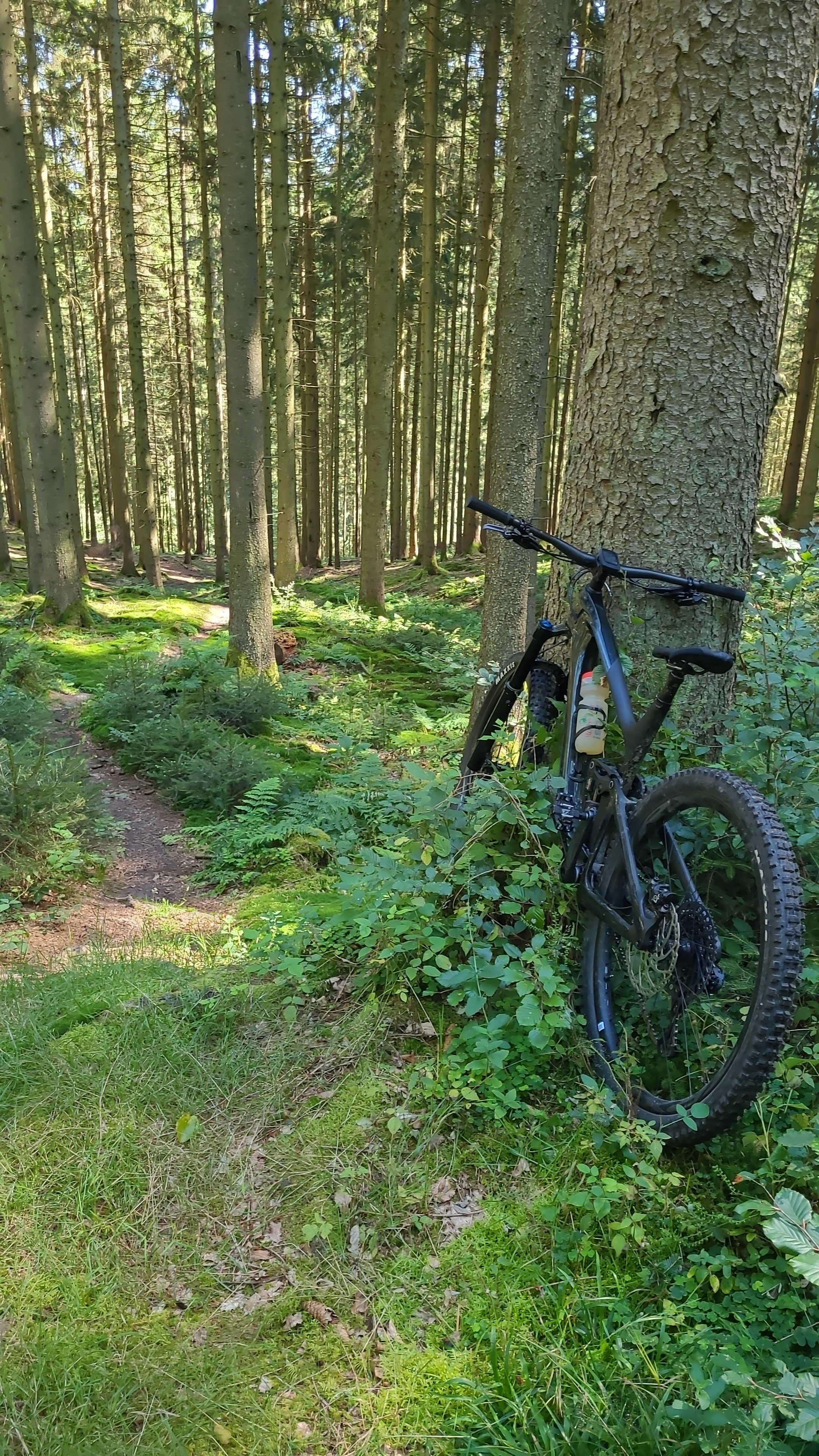 IMG-20240811-WA0003.jpeg