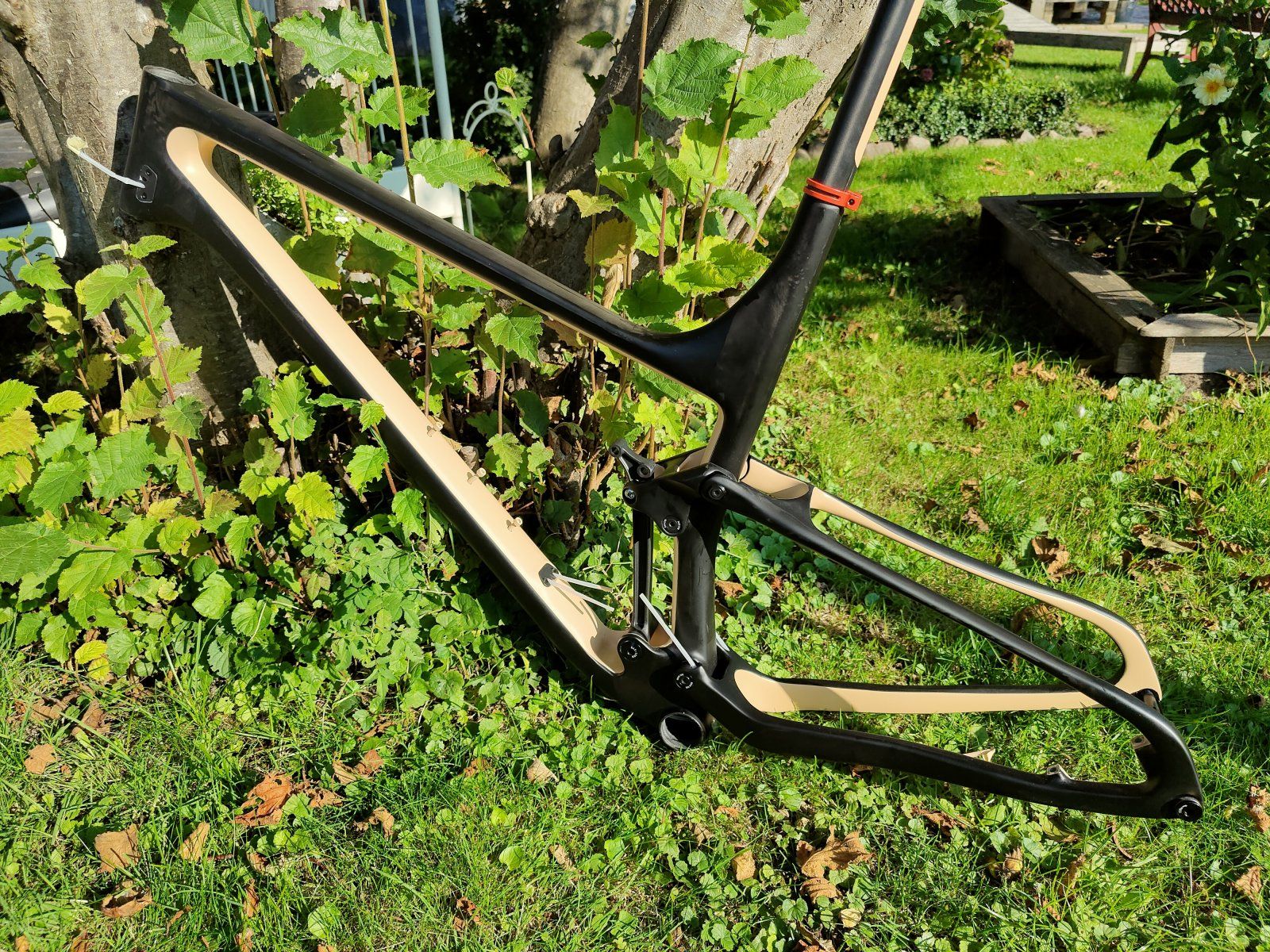 IMG20201003145019.jpg