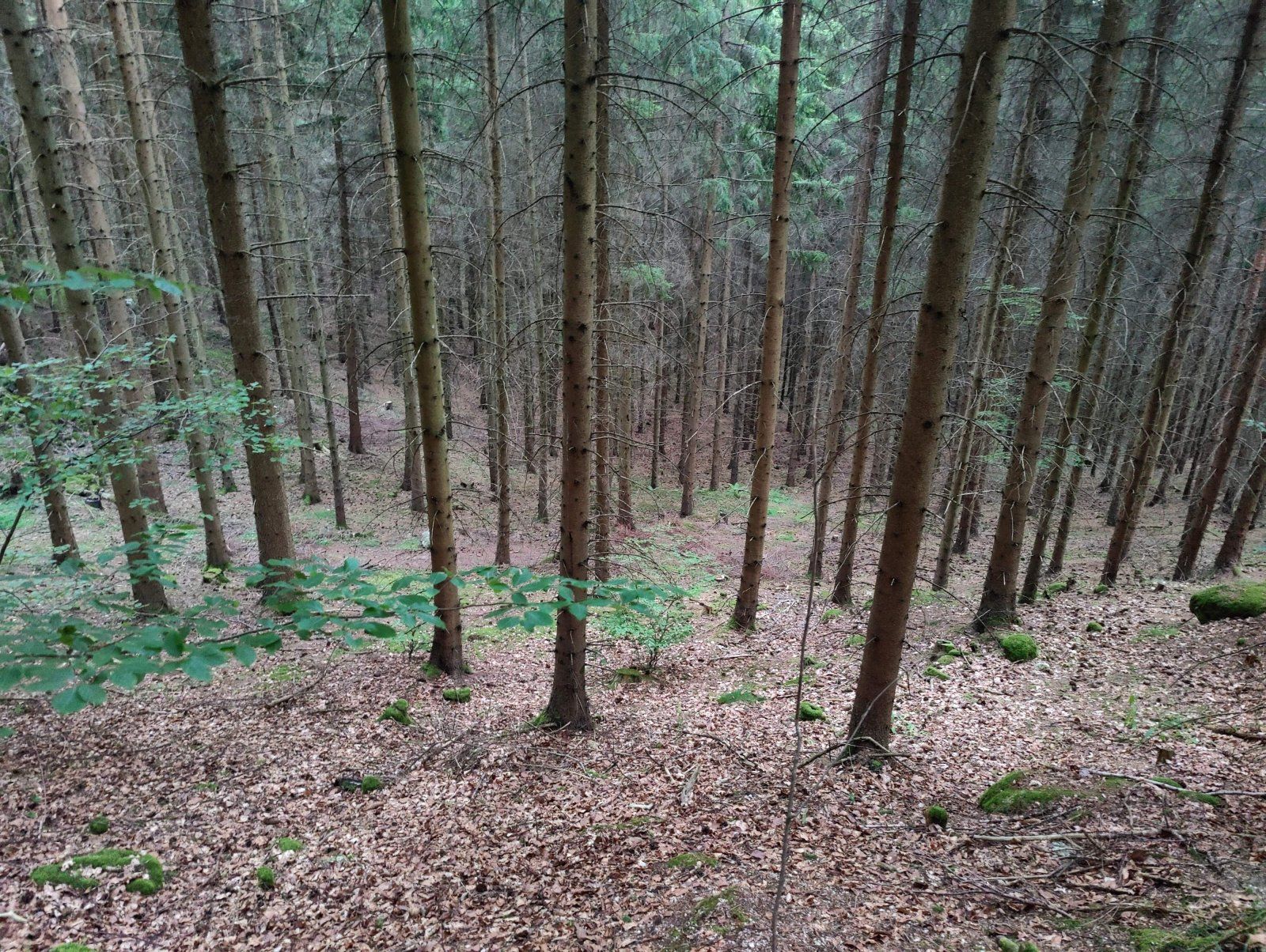 IMG20230822200549.jpg