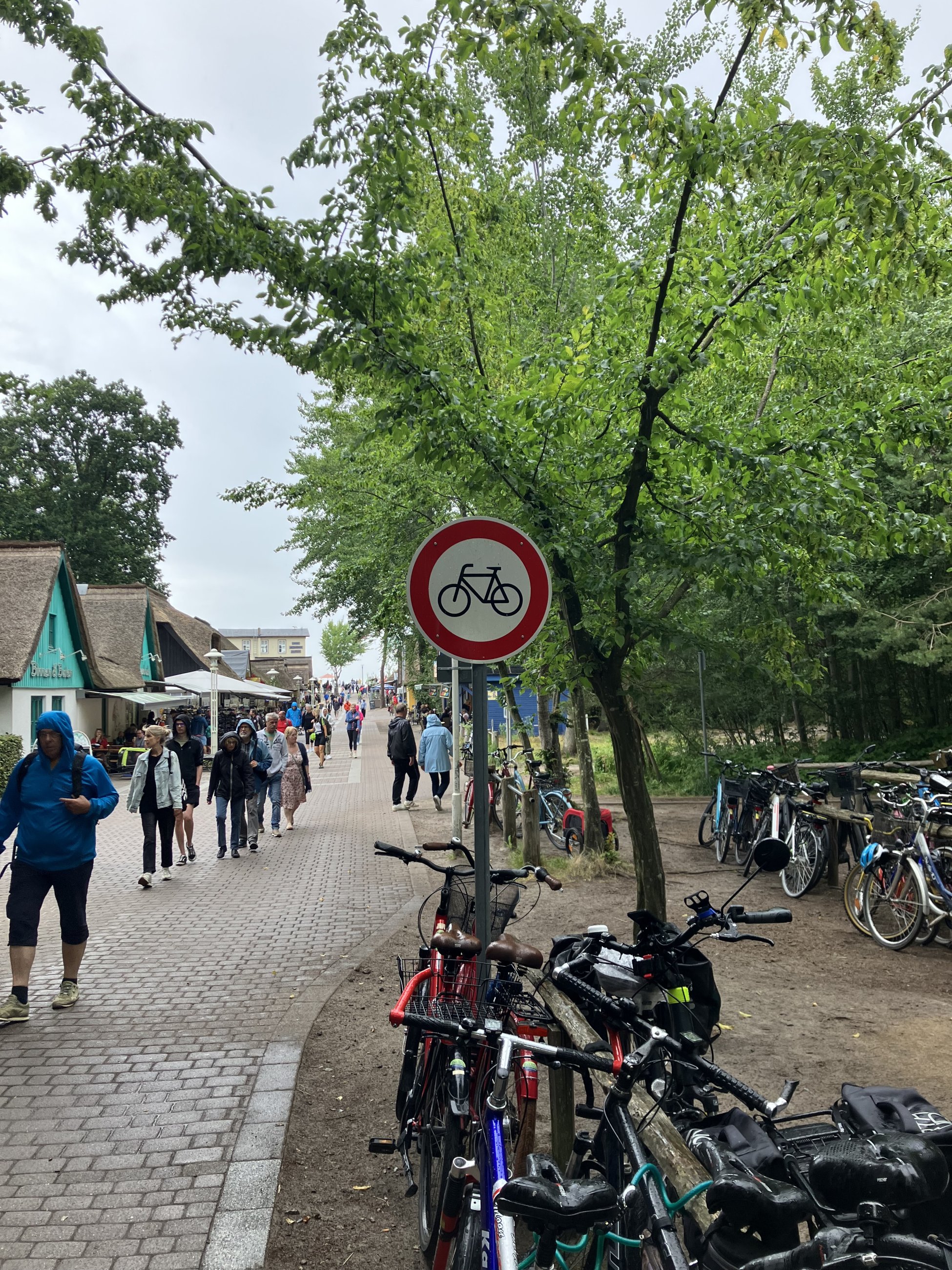 IMG_0021.jpeg