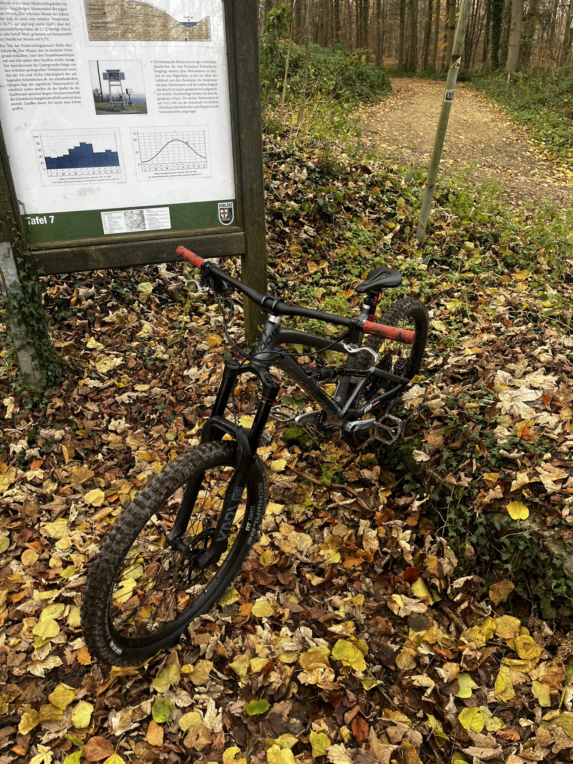 IMG_0172.jpeg