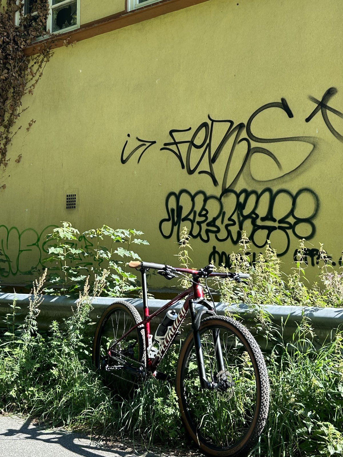 IMG_0252.jpeg