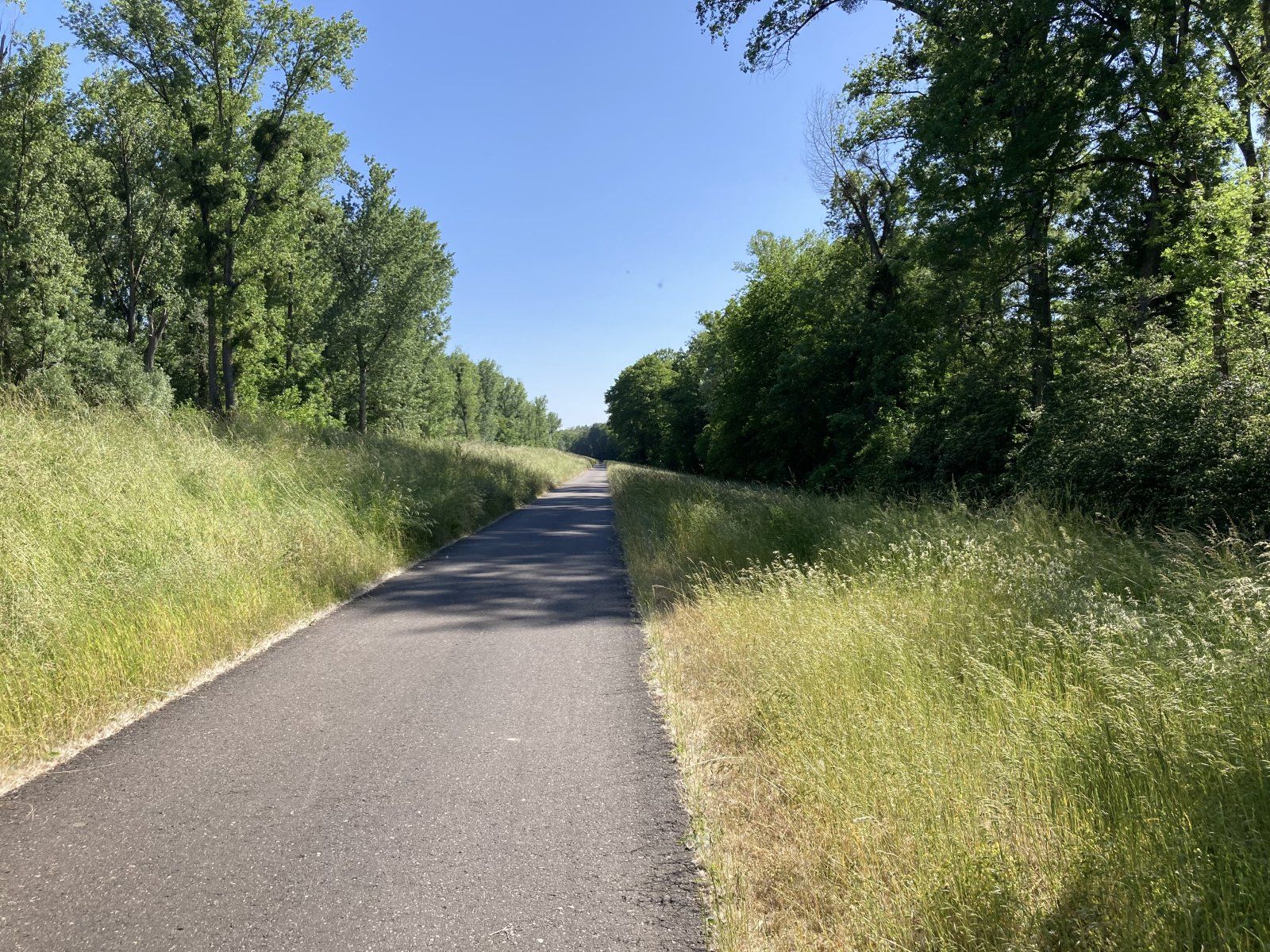IMG_0261.jpeg