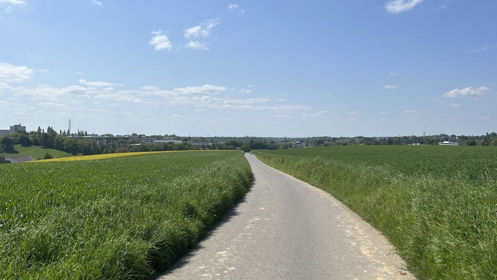 IMG_0303.jpeg