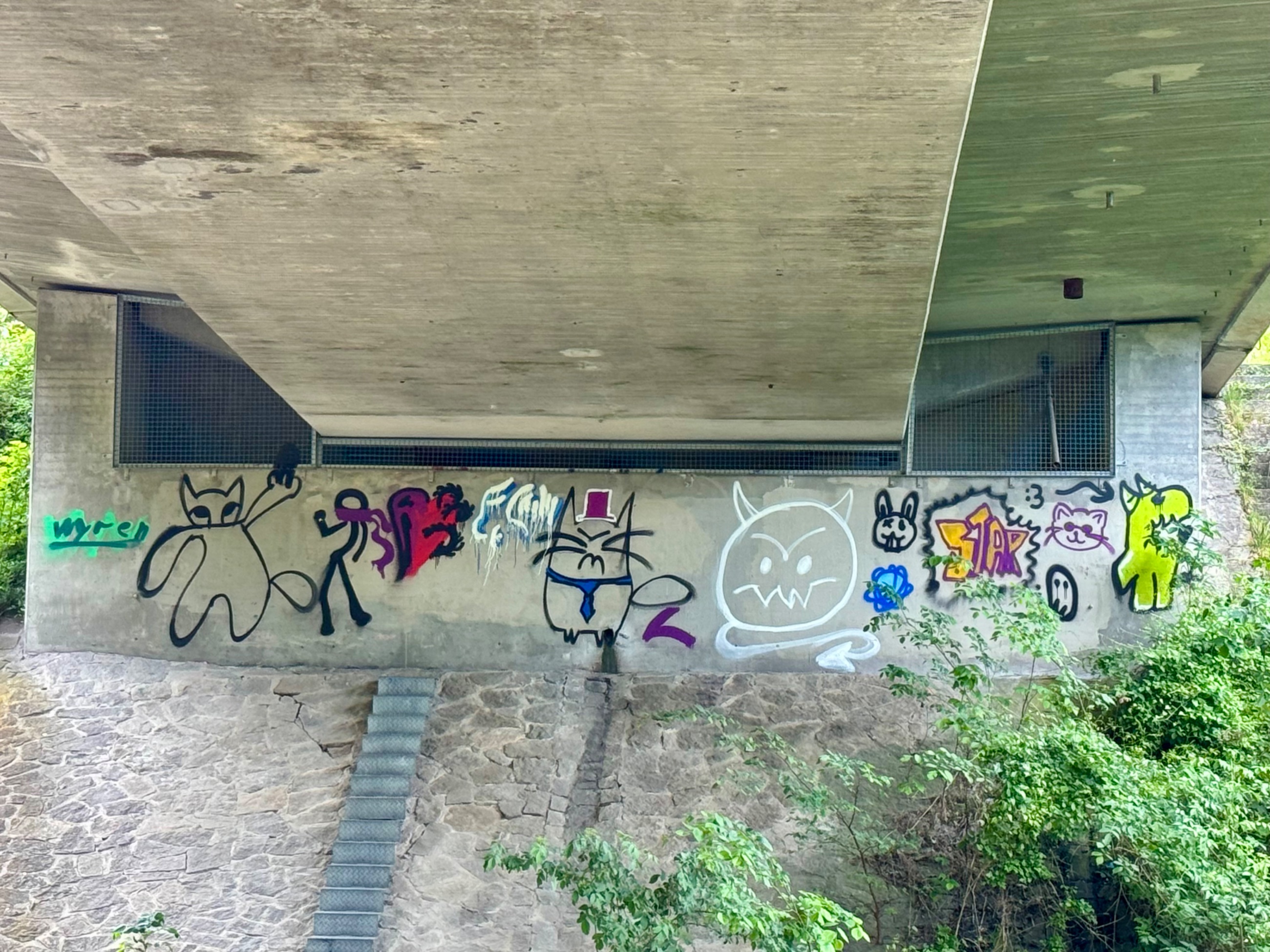 IMG_0342.jpeg