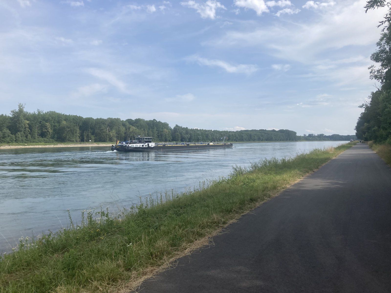 IMG_0370.jpeg