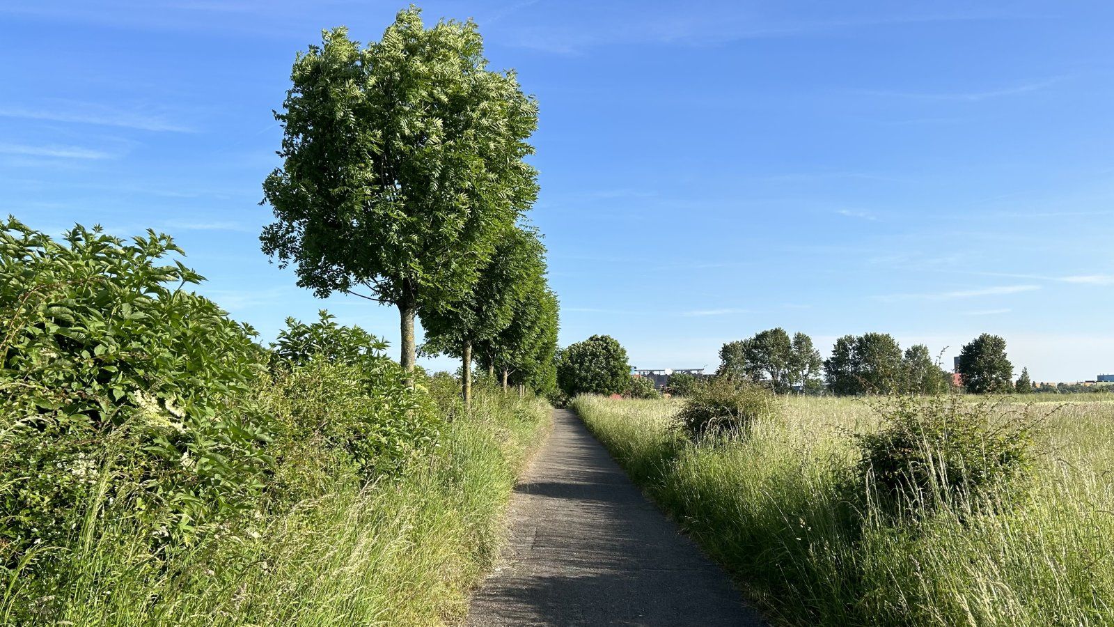 IMG_0374.jpeg