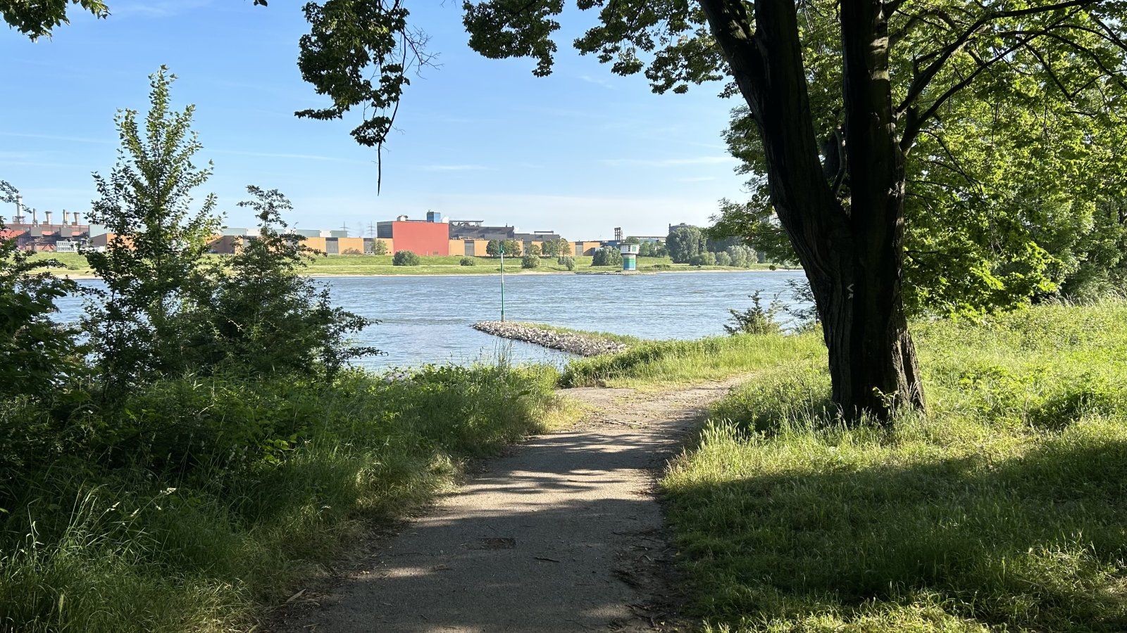 IMG_0375.jpeg