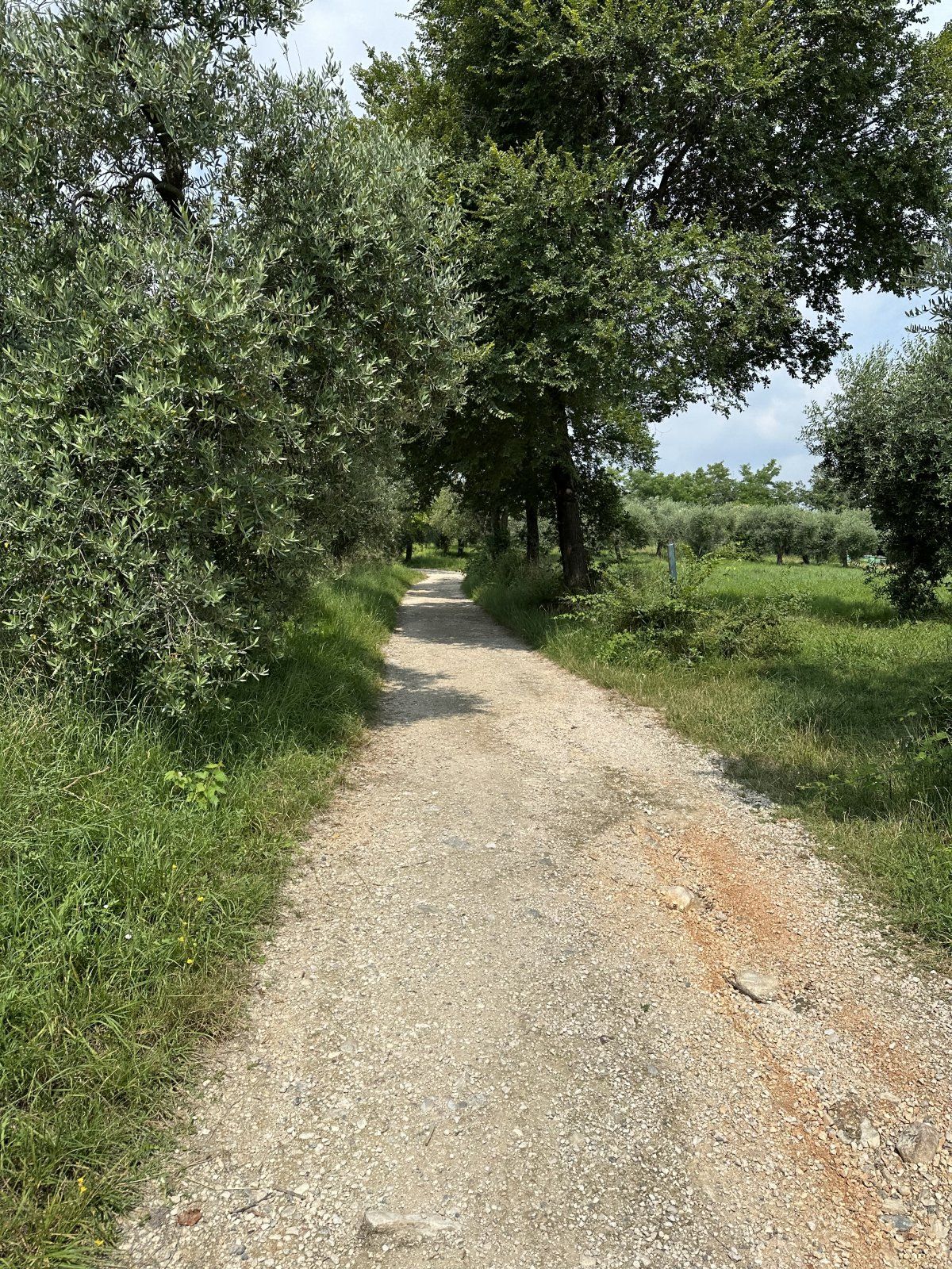 IMG_0393.jpeg