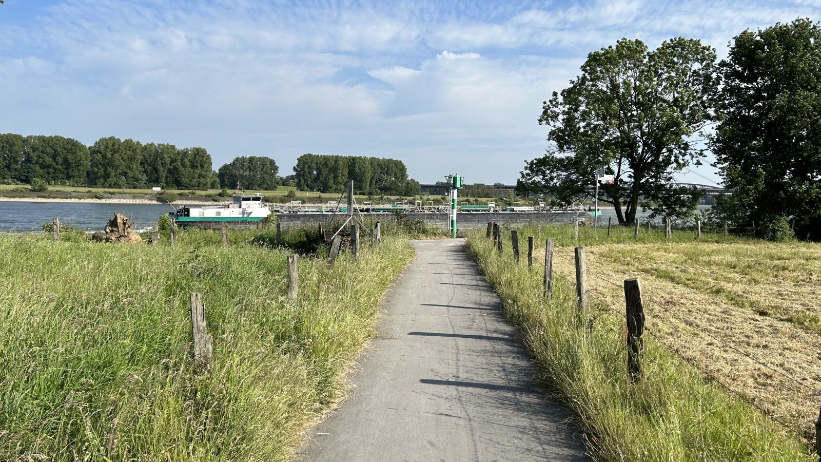 IMG_0415.jpeg