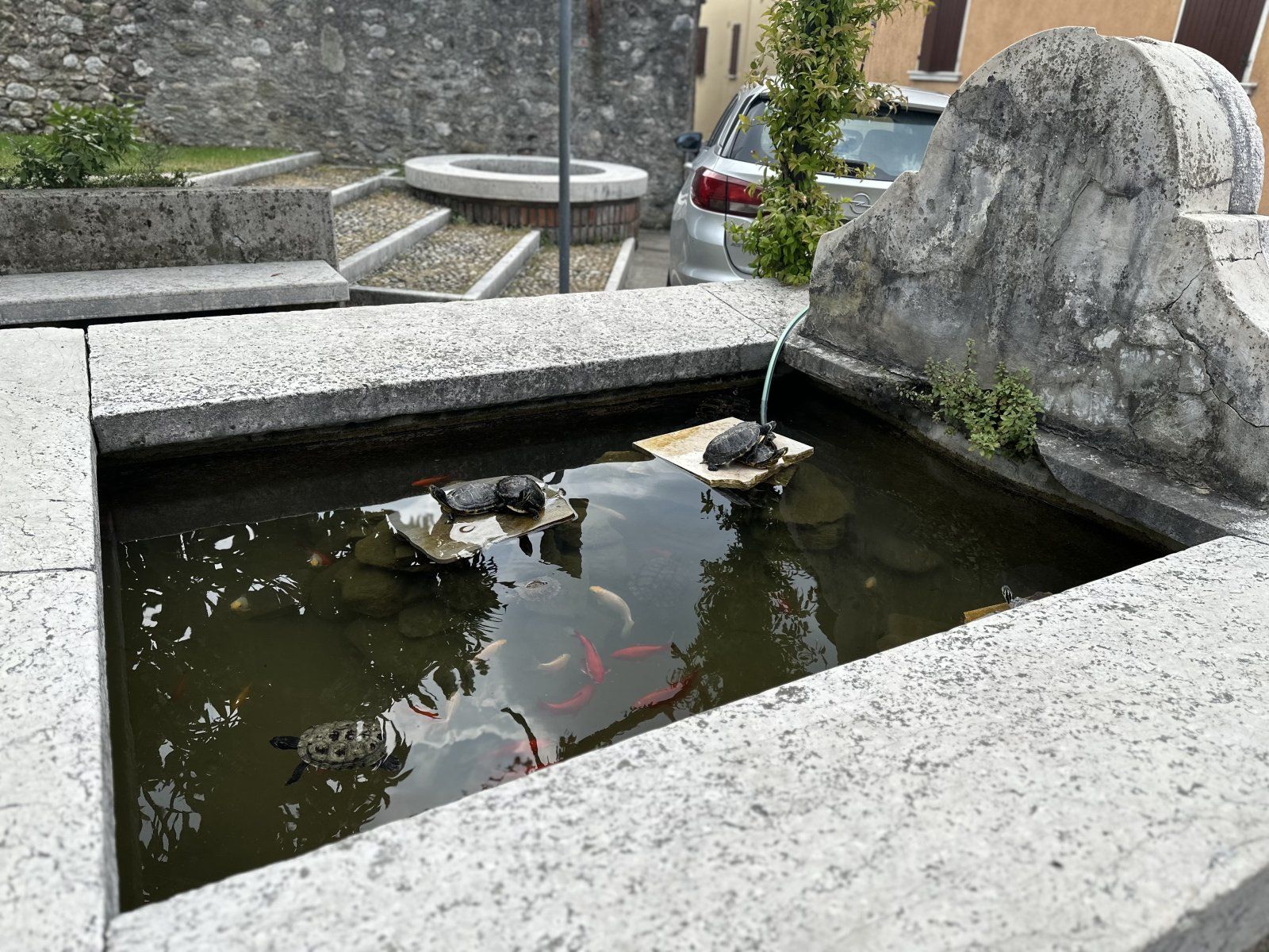 IMG_0417.jpeg