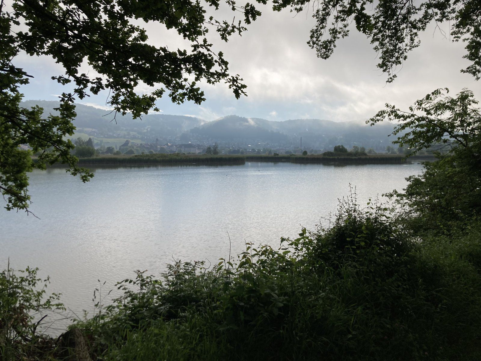 IMG_0469.jpeg