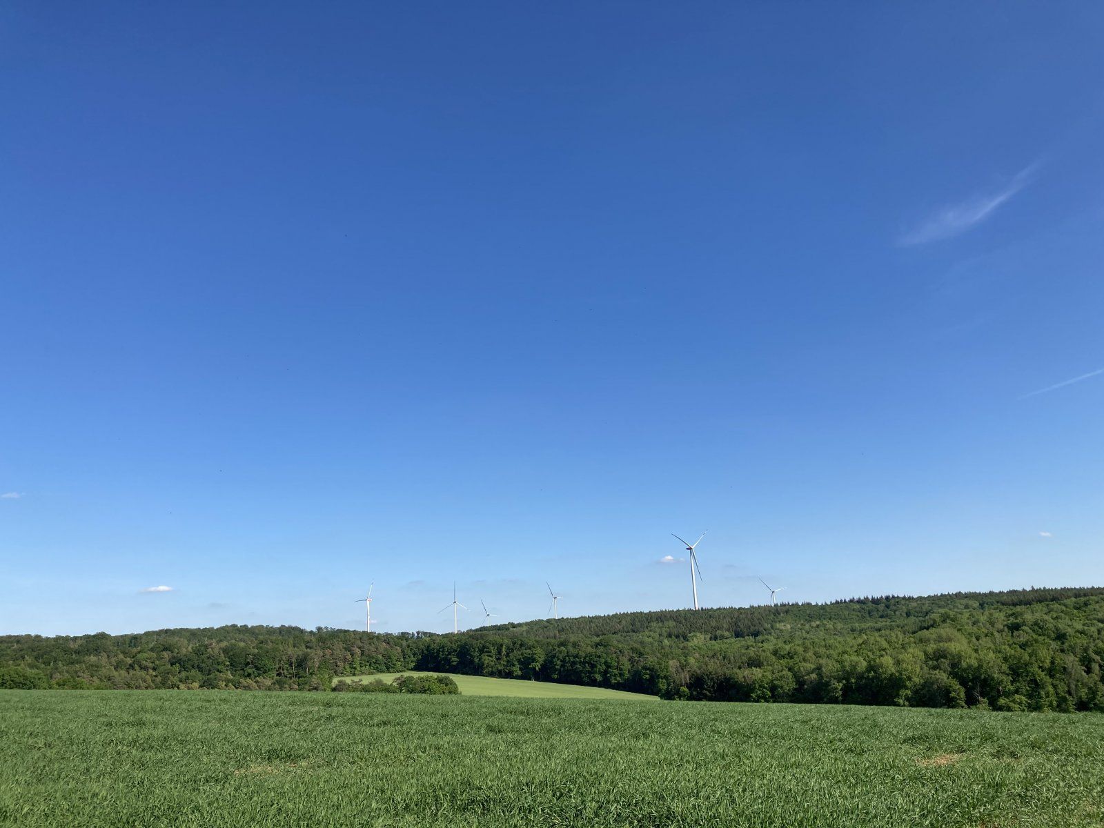 IMG_0509.jpeg