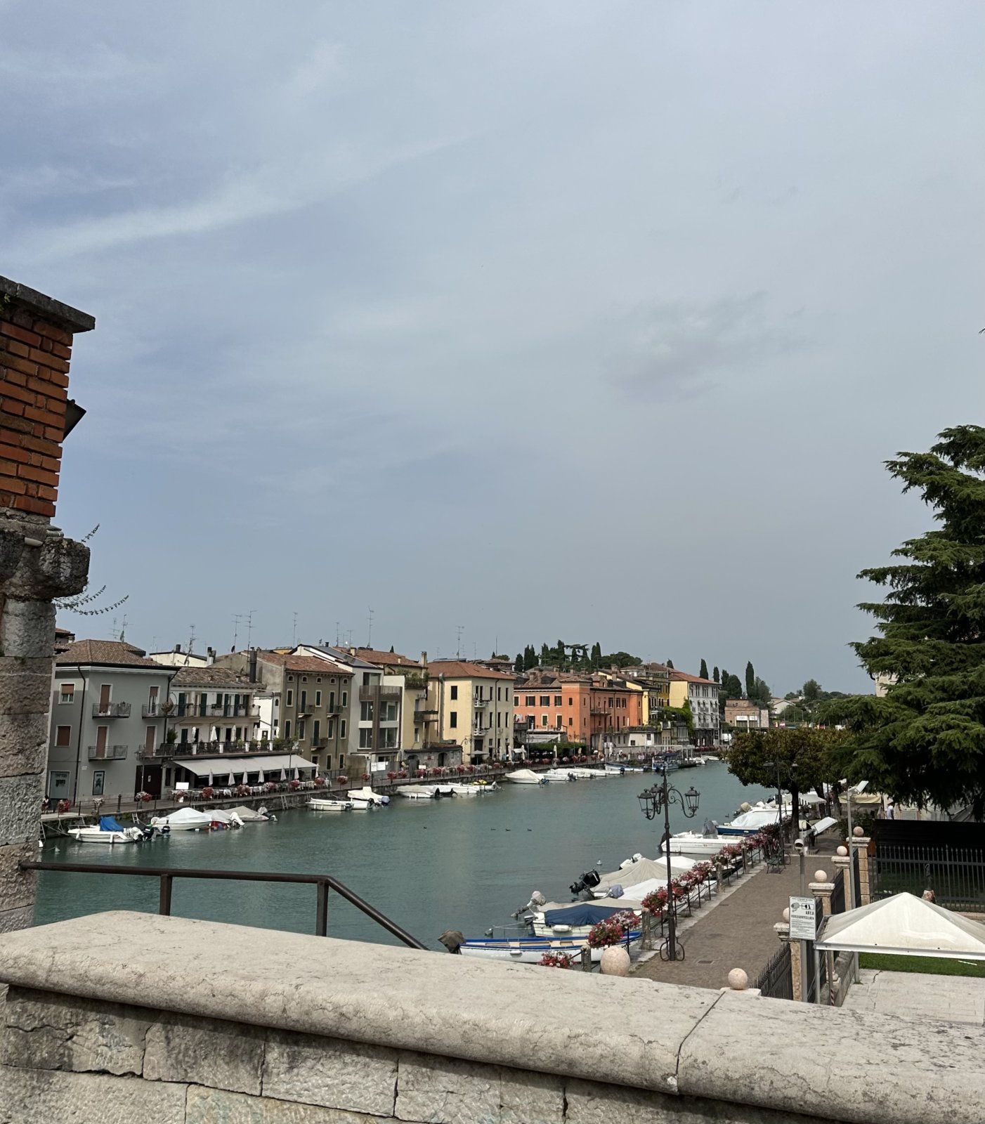 IMG_0565.jpeg