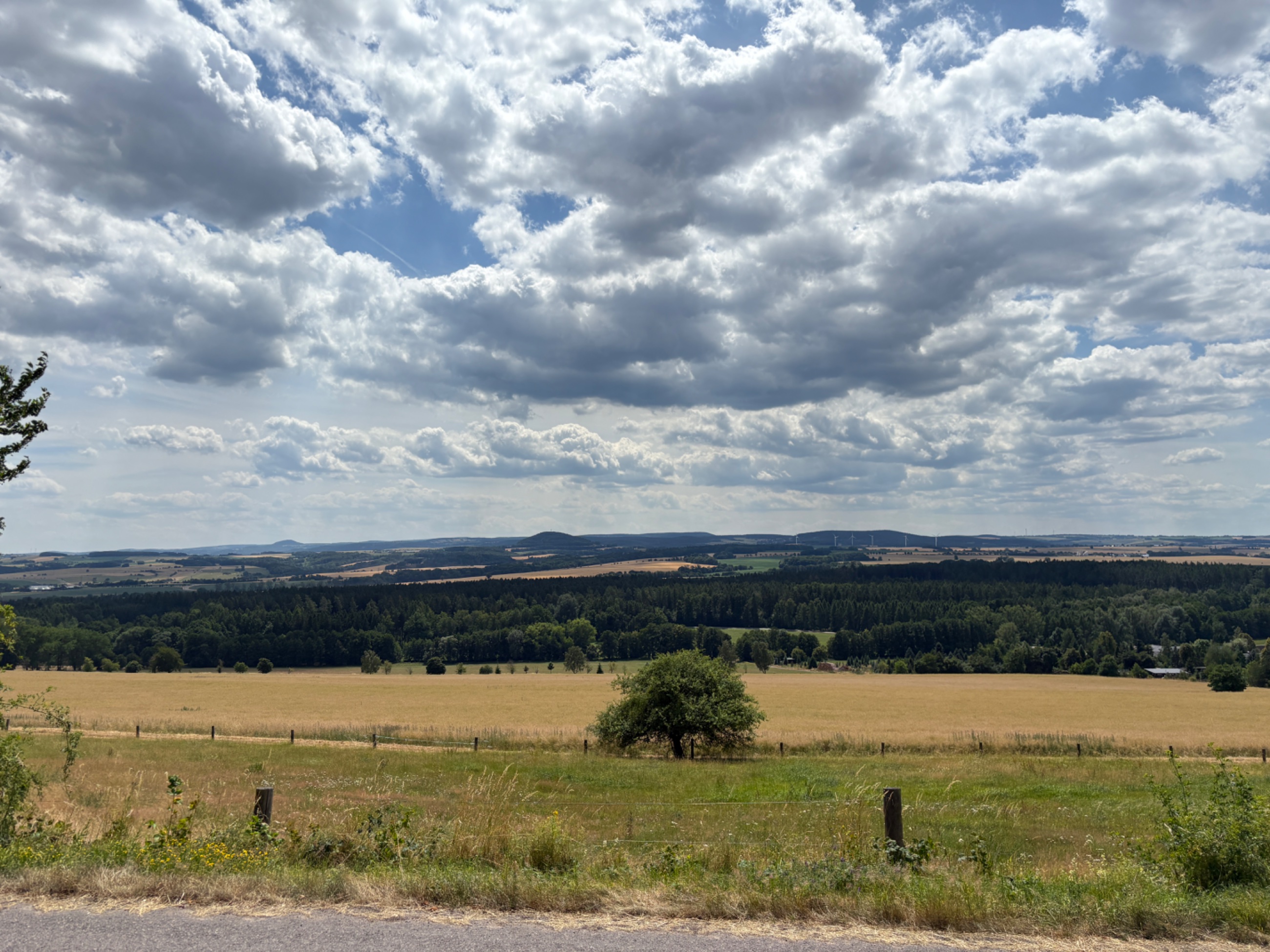 IMG_0599.jpeg