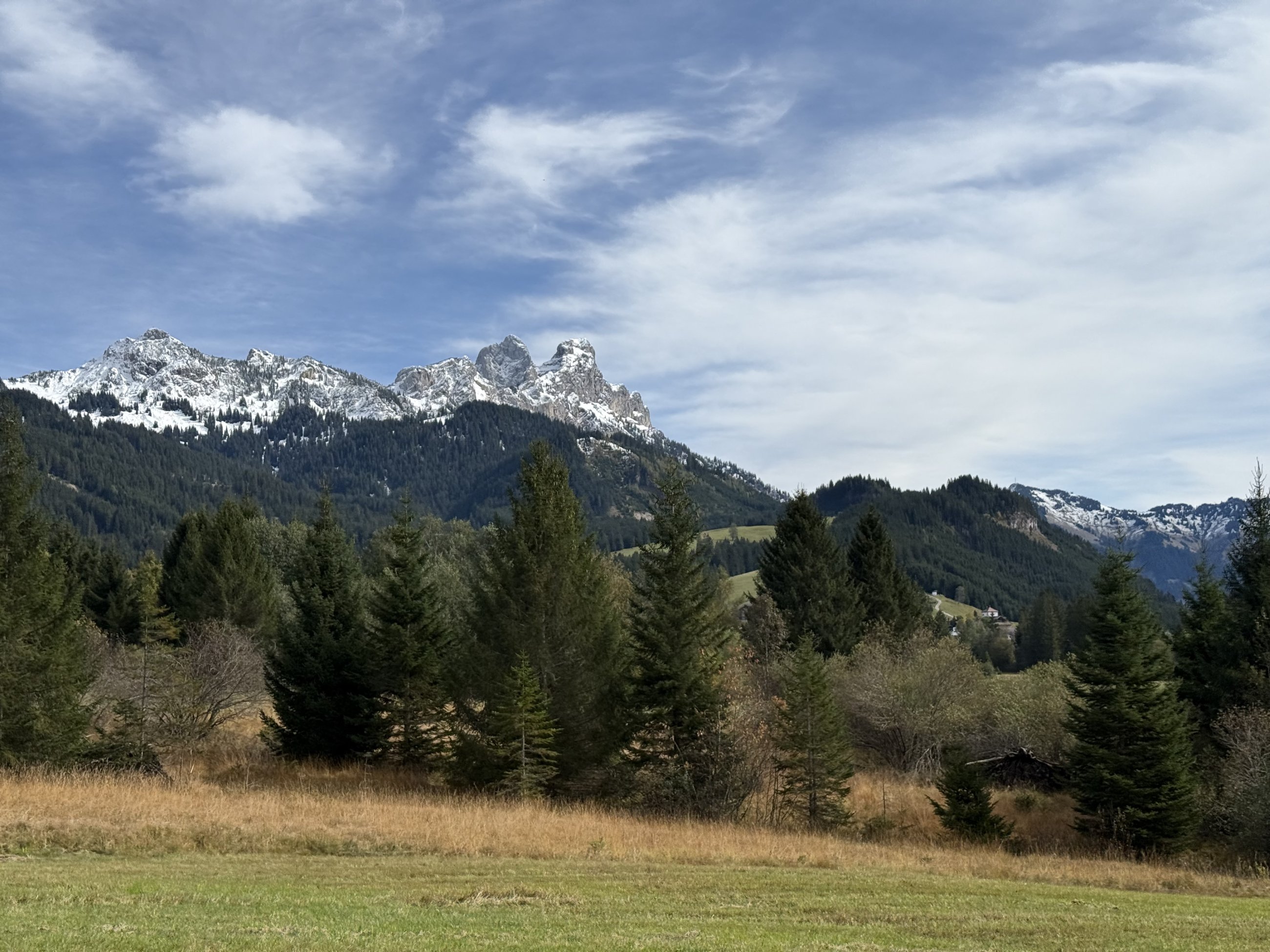 IMG_0602.jpeg