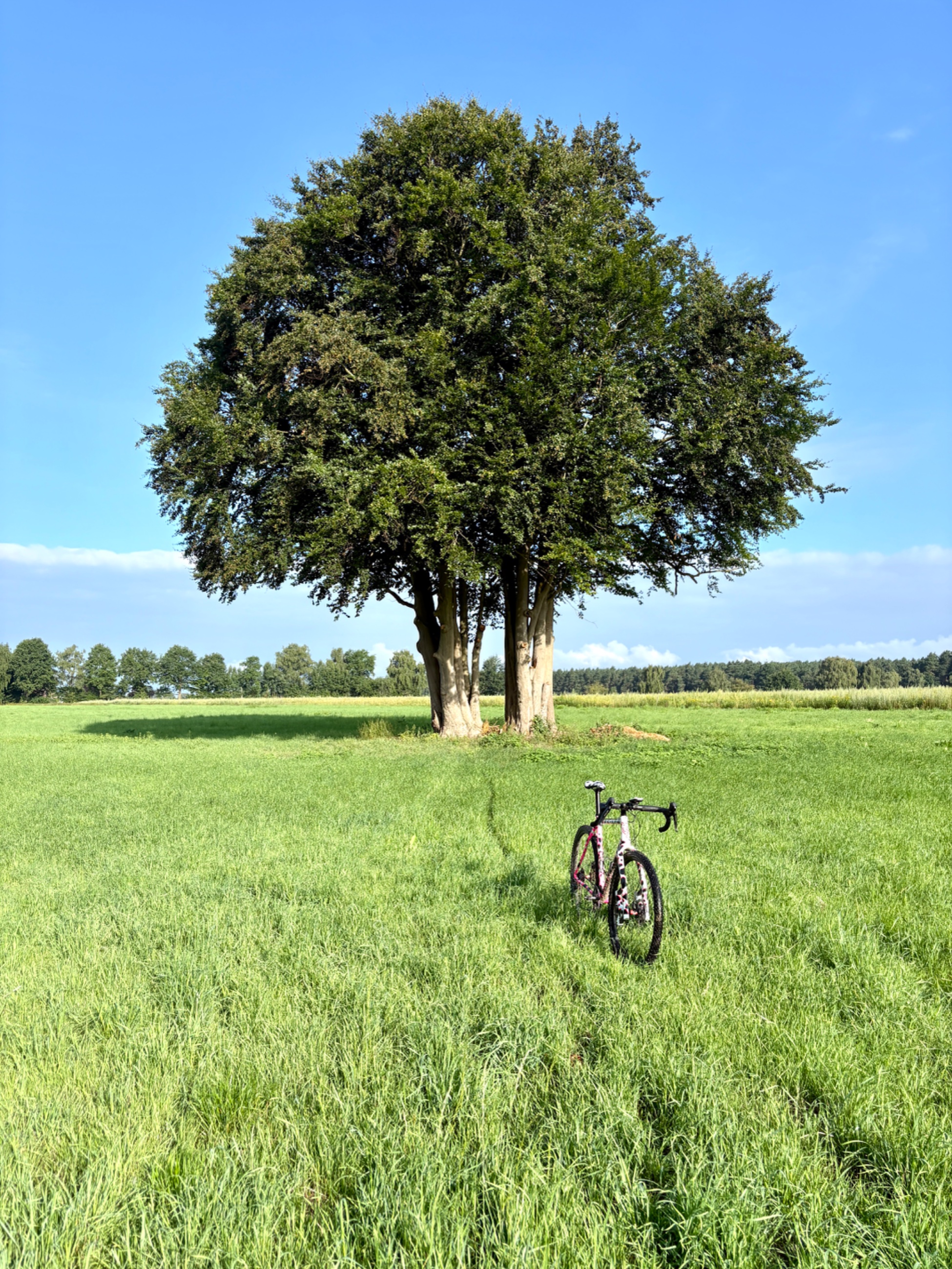 IMG_0606.jpeg