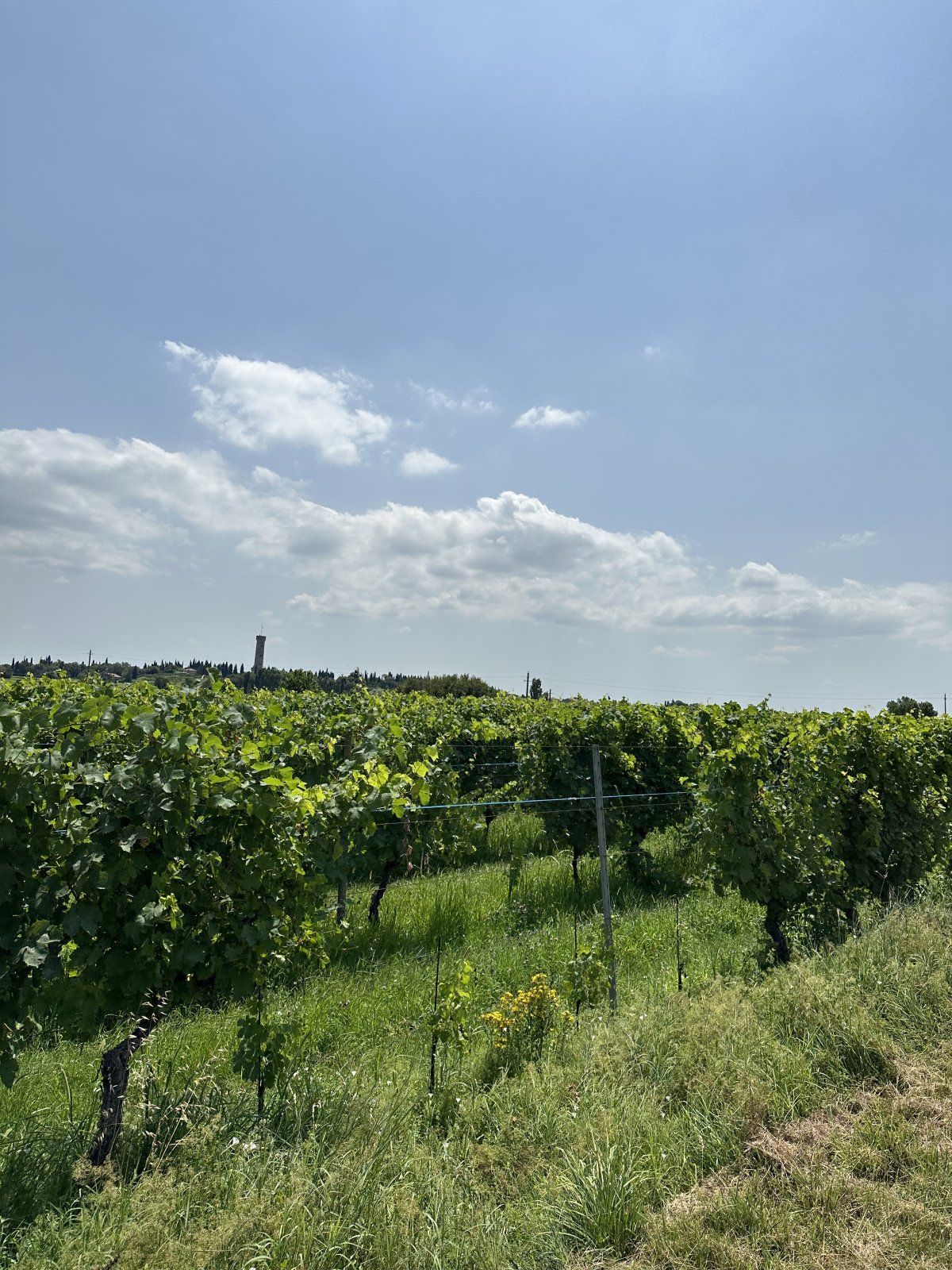 IMG_0610.jpeg