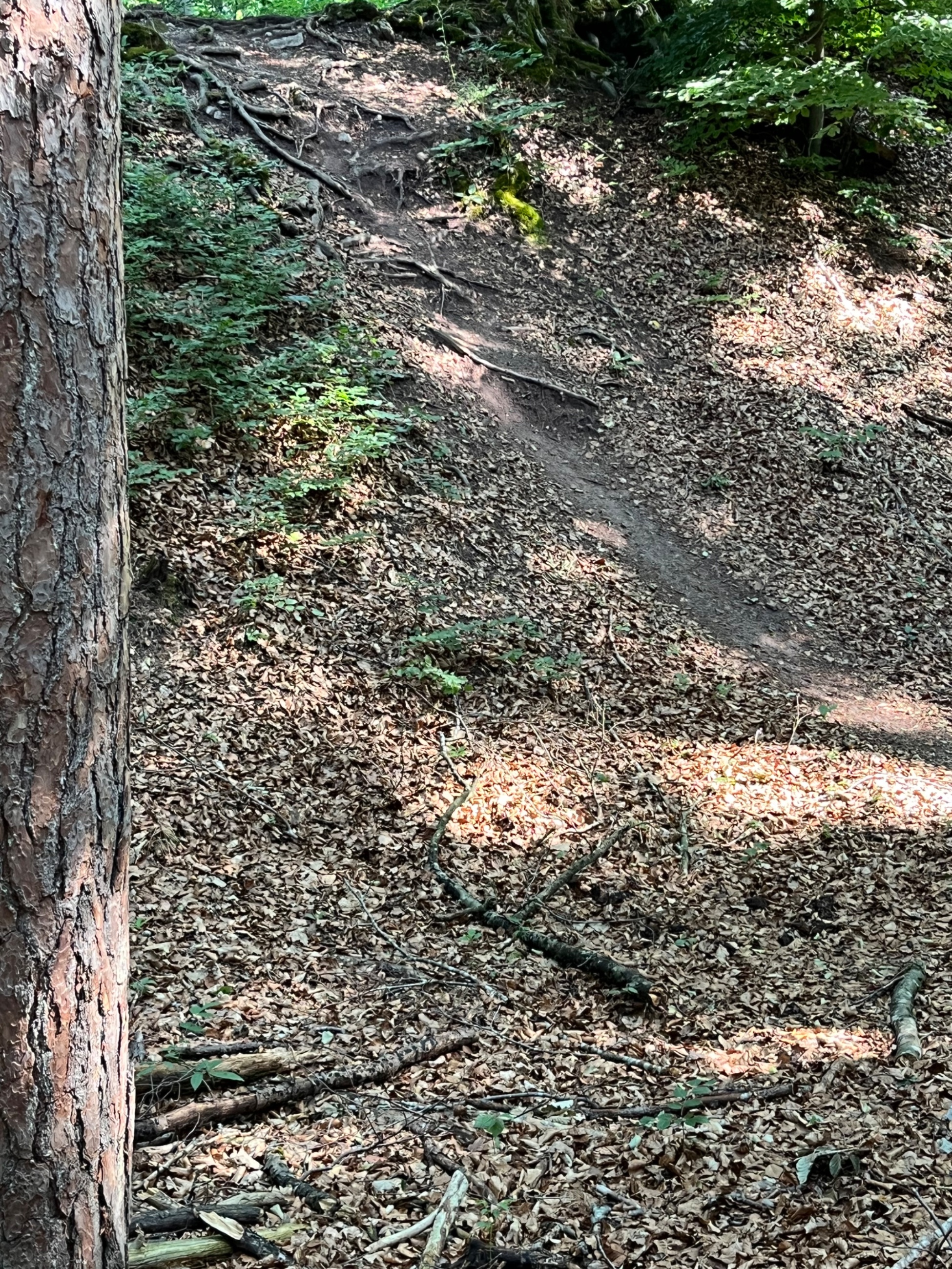 IMG_0616.jpeg