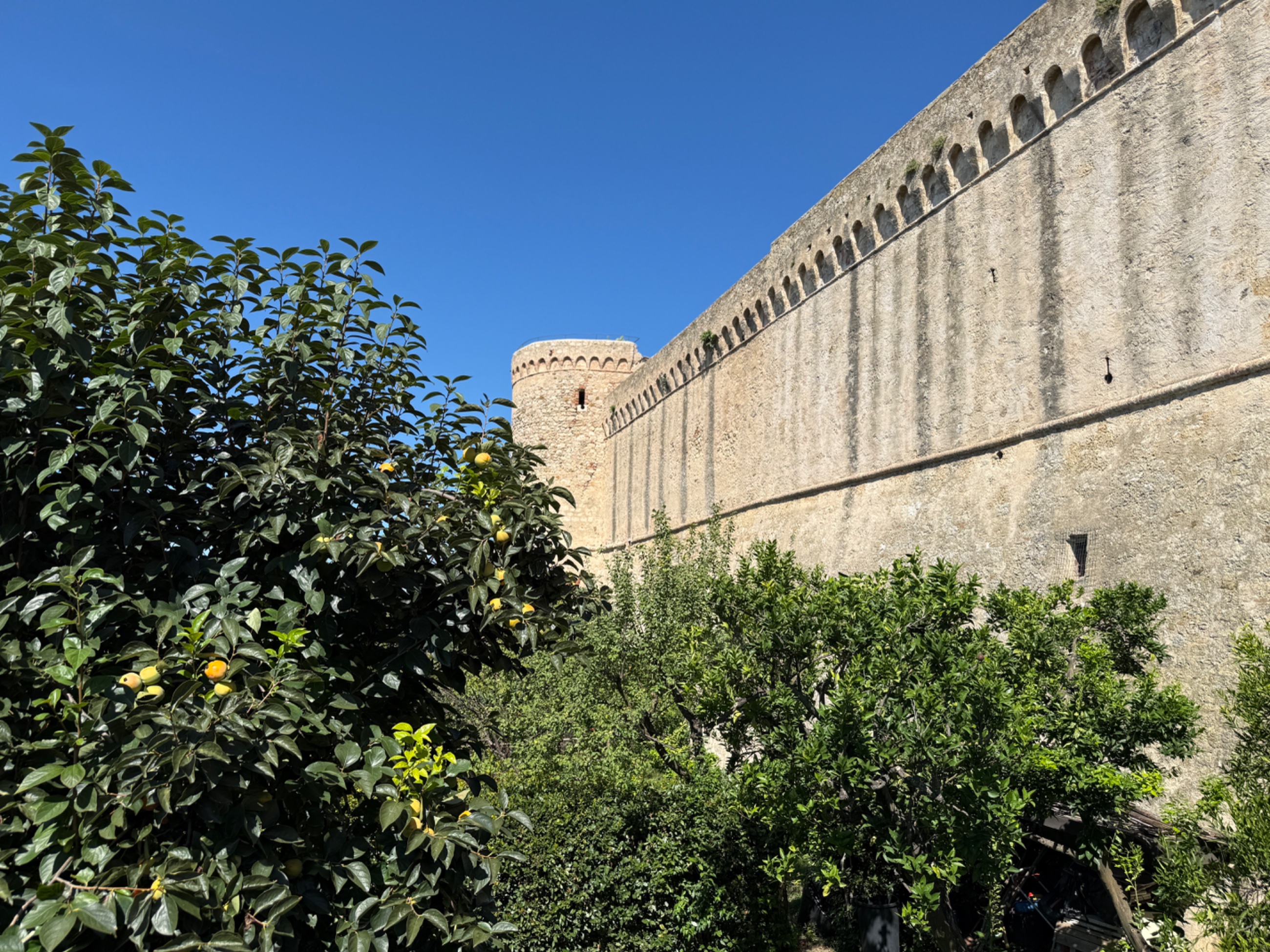 IMG_0691.jpeg