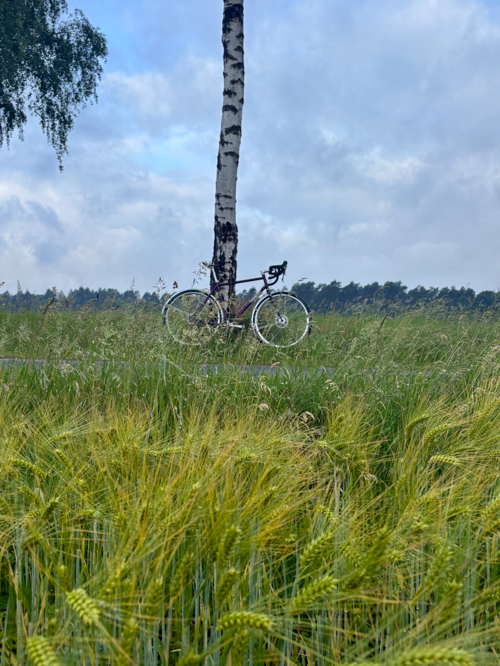 IMG_0692.jpeg